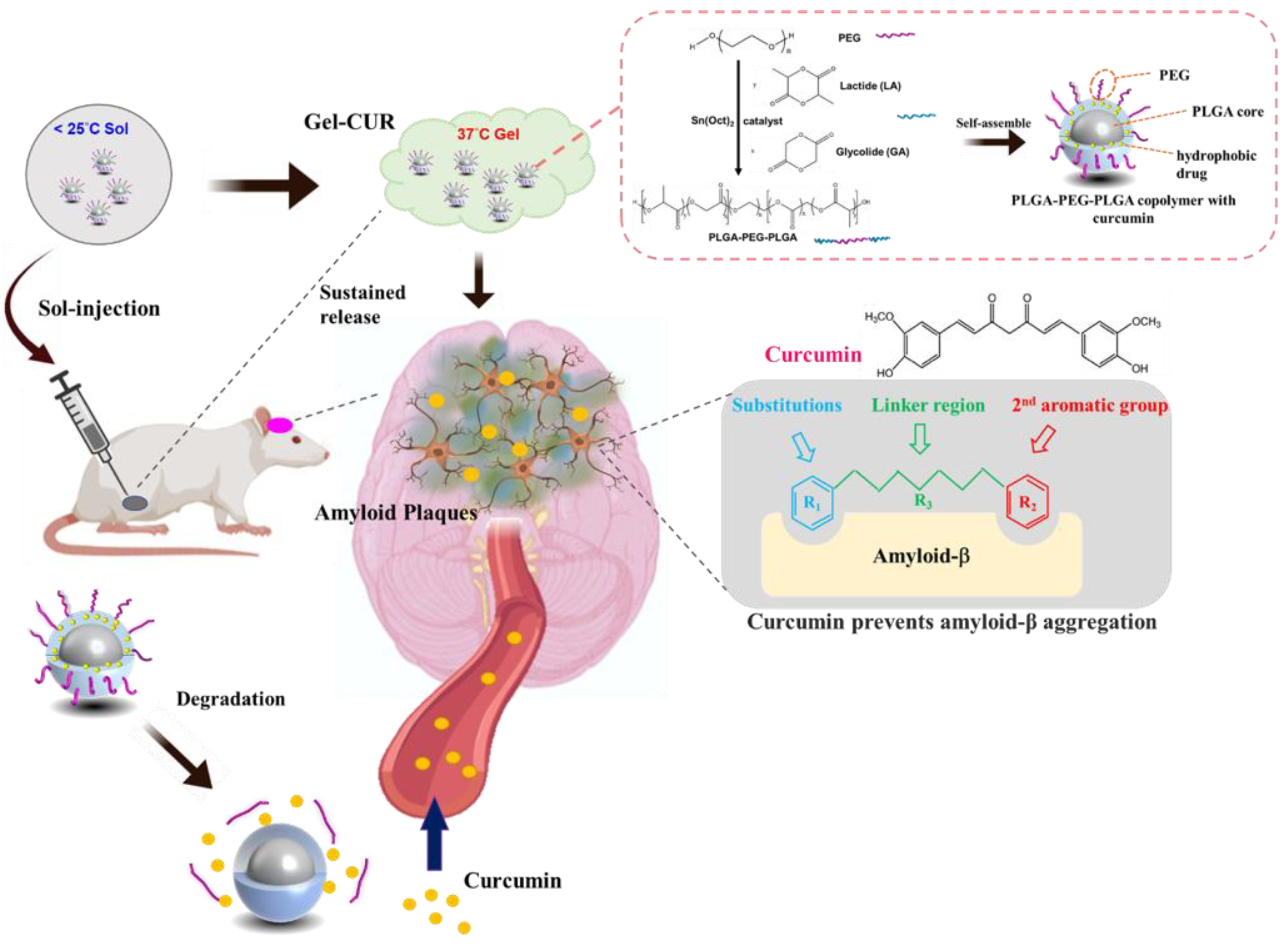 Antioxidants 11 00727 g001