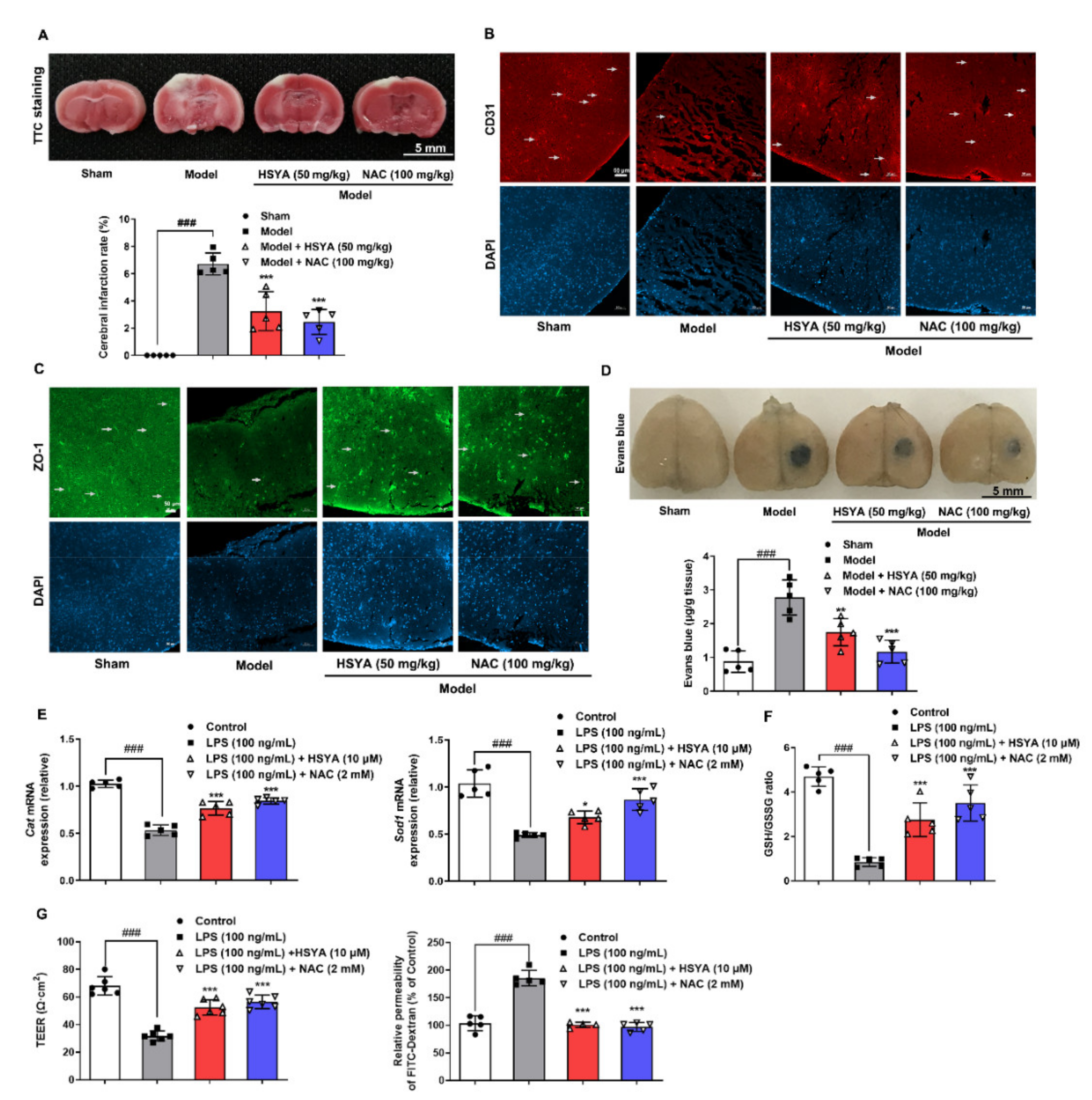 Antioxidants 11 00728 g001 550