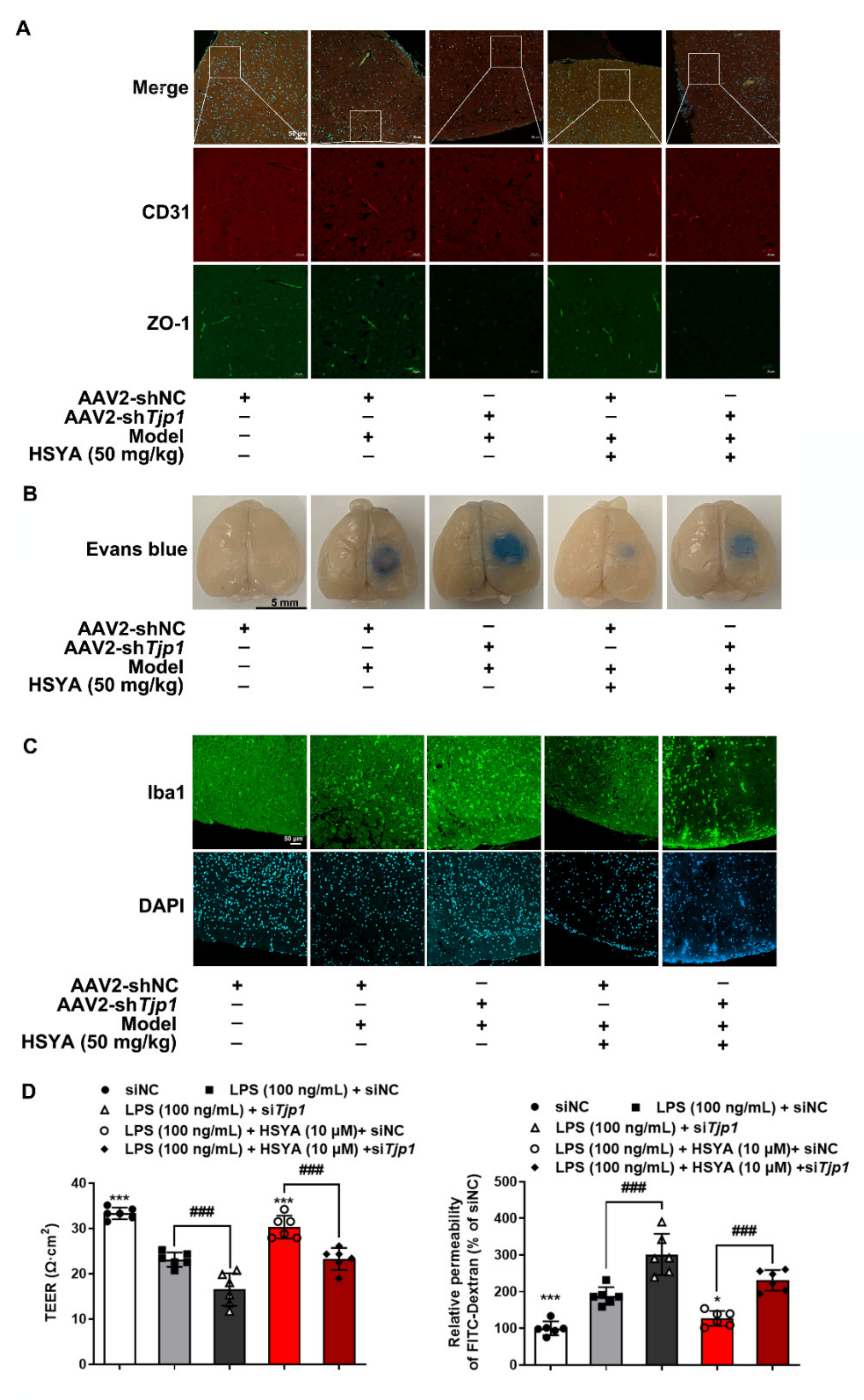 Antioxidants 11 00728 g006 550