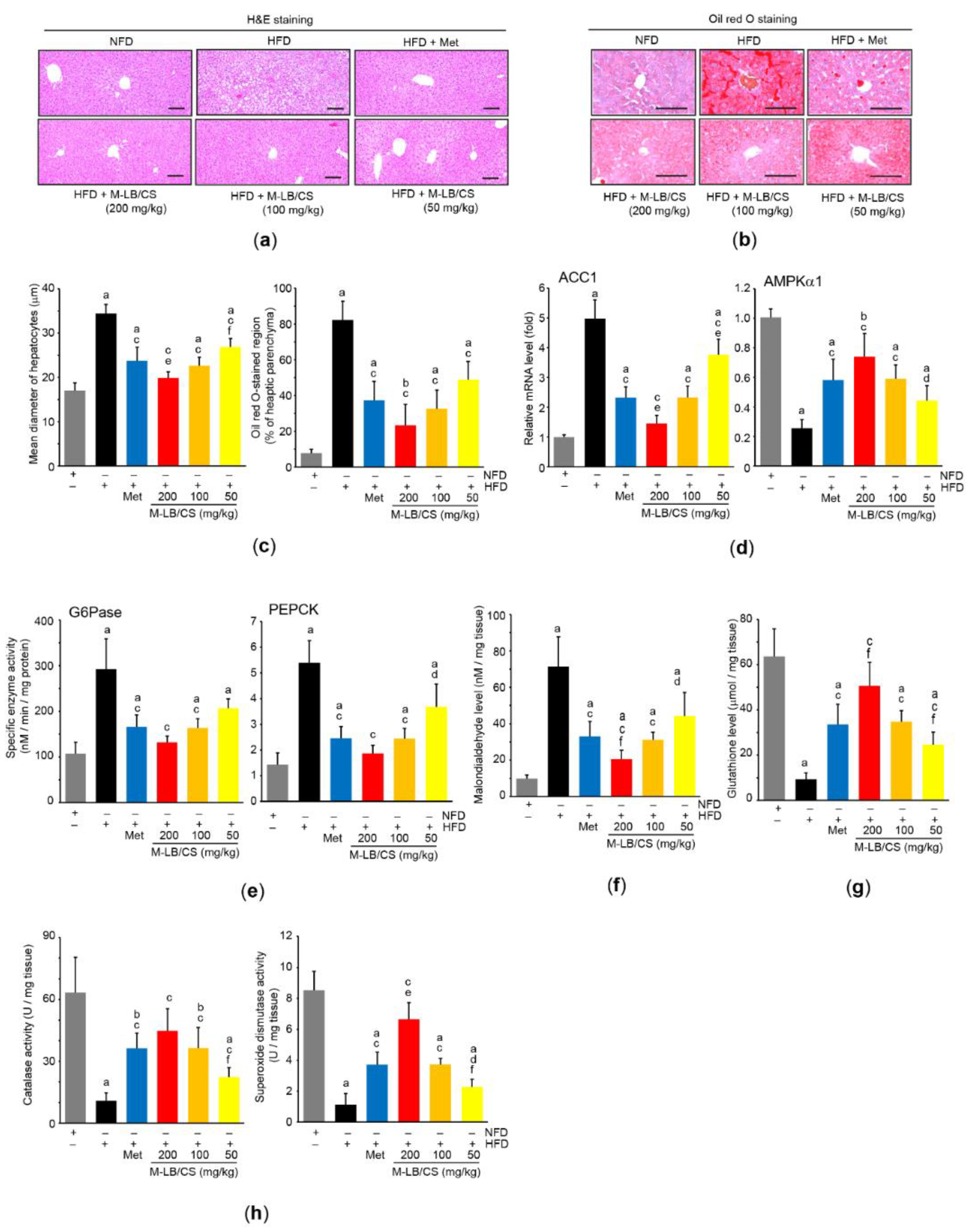 Antioxidants 11 00730 g005