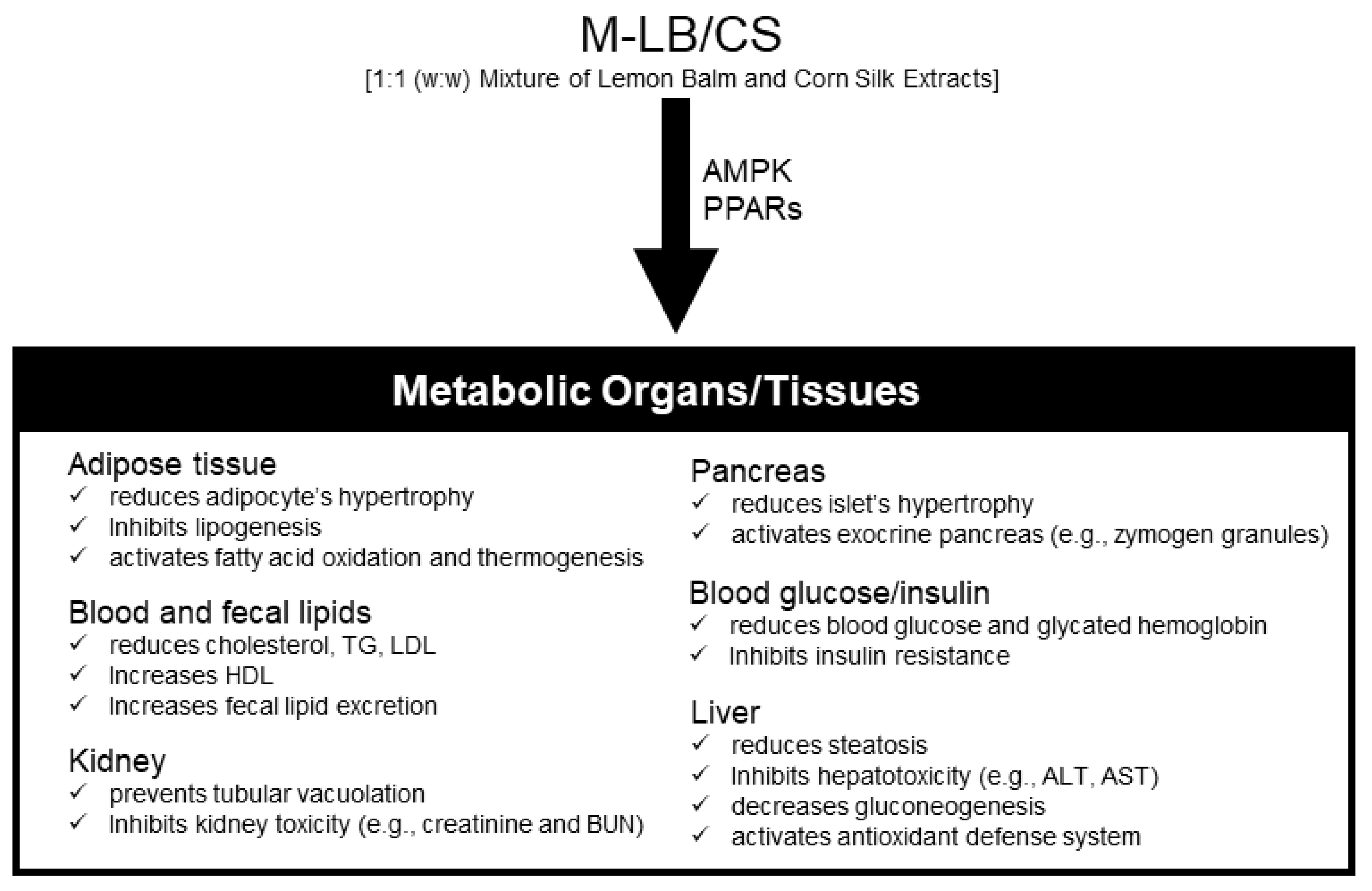 Antioxidants 11 00730 g007