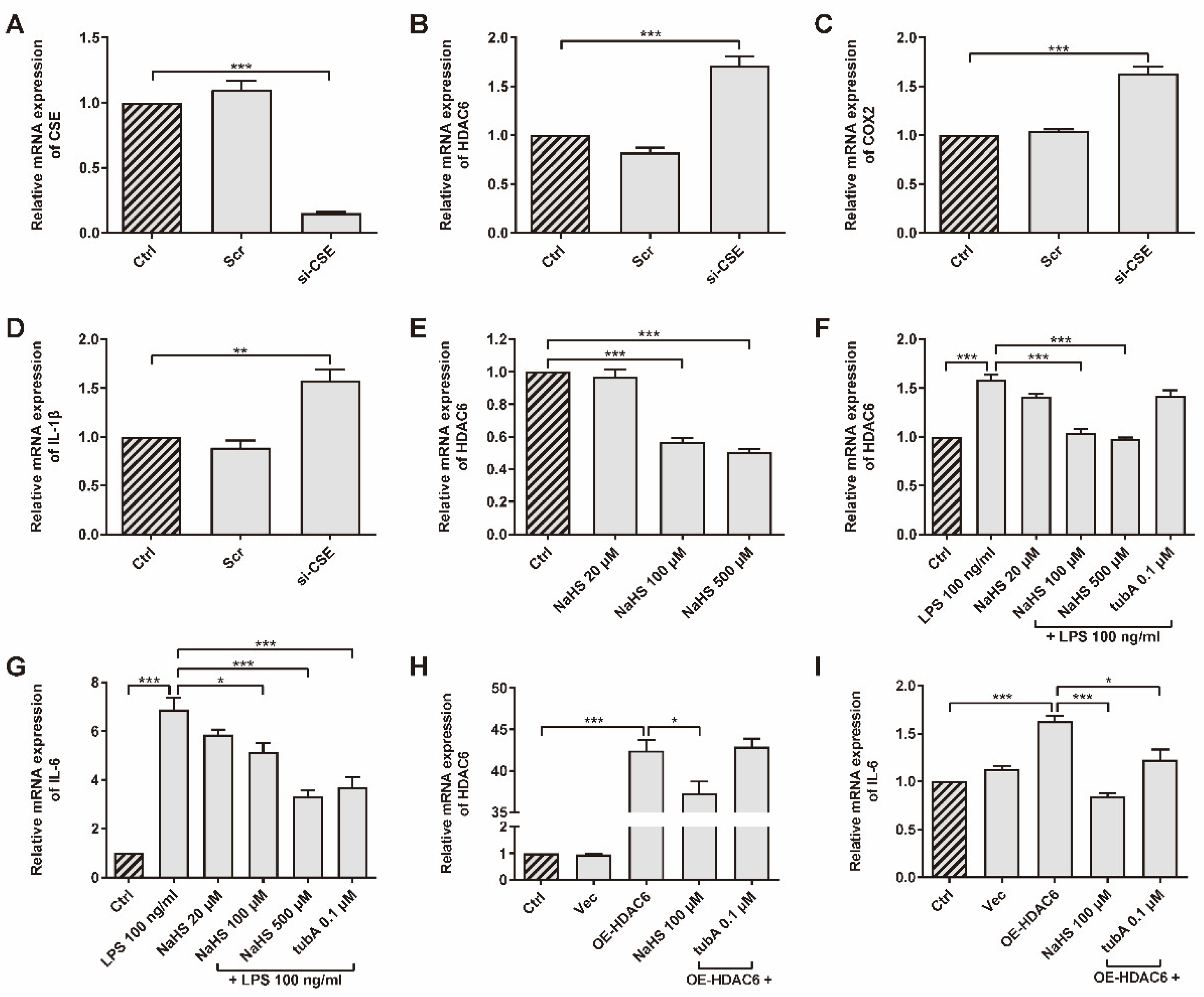 Antioxidants 11 00732 g001 Antioxidants 11 00732 g001