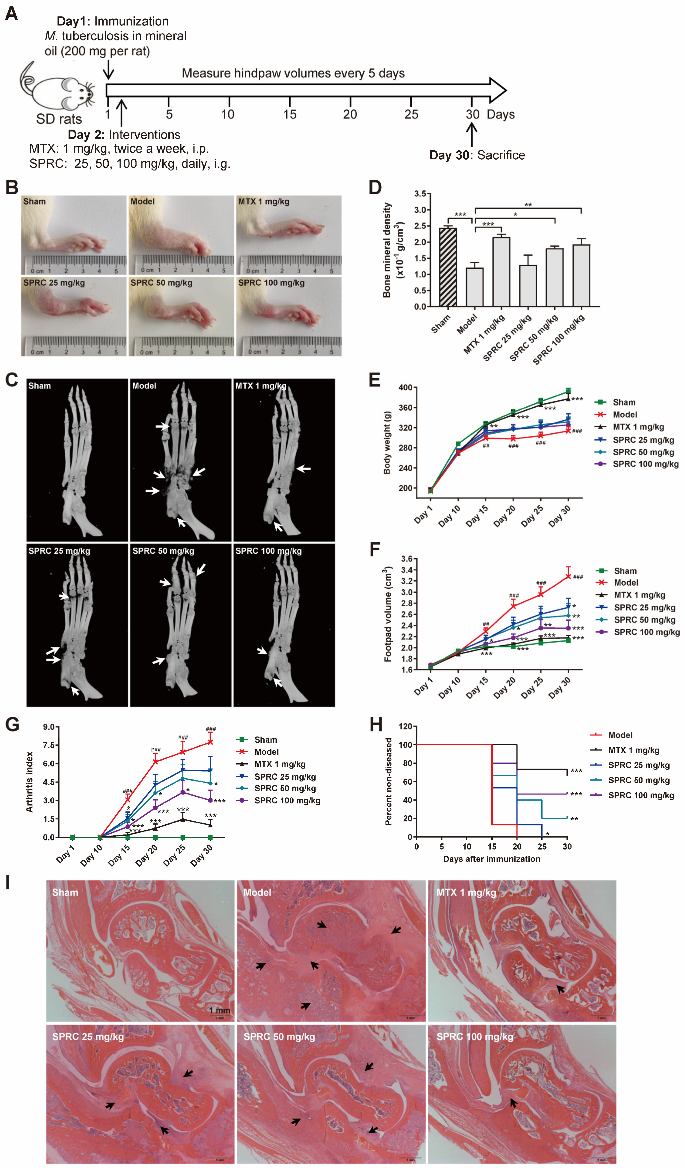 Antioxidants 11 00732 g002 Antioxidants 11 00732 g002