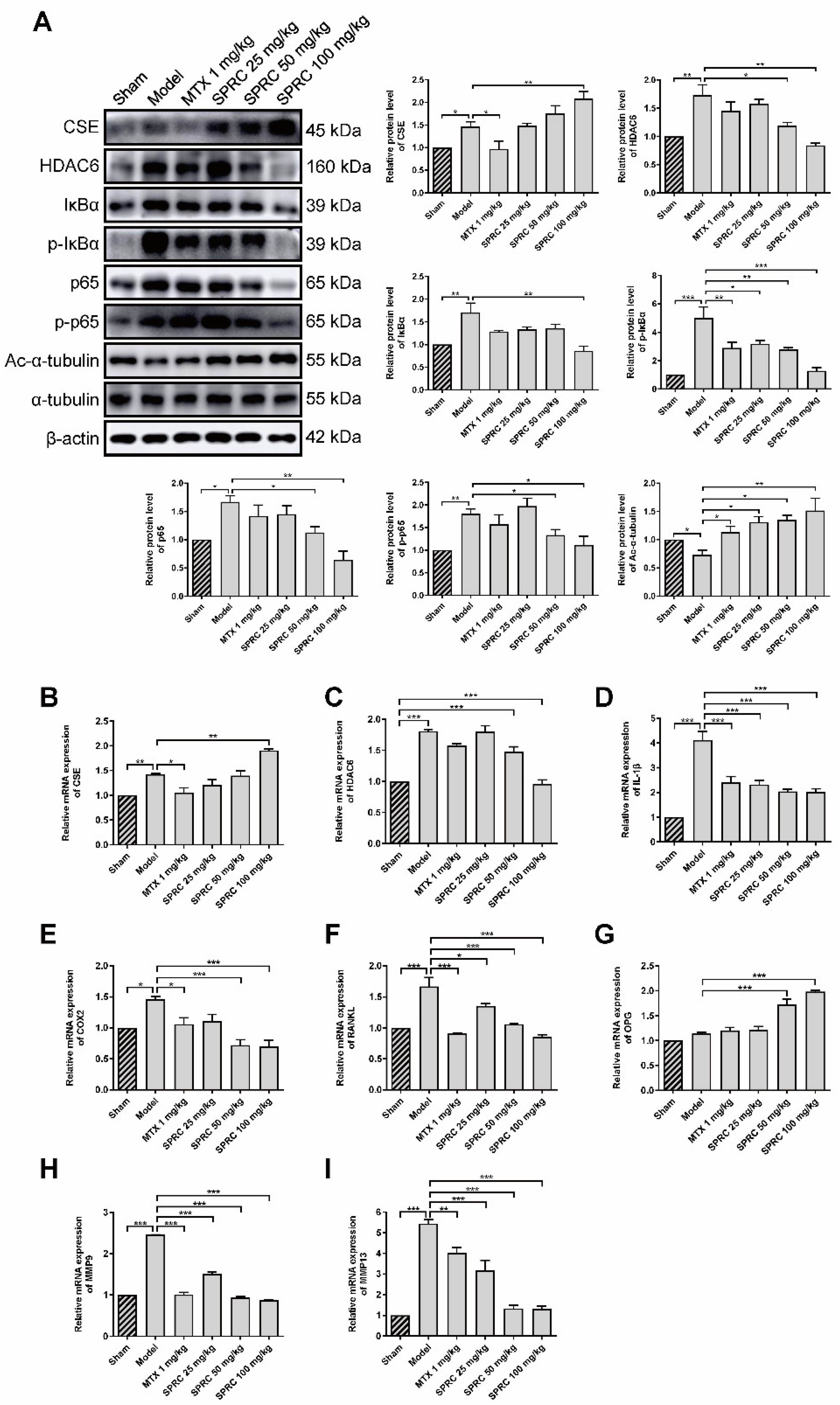 Antioxidants 11 00732 g004 Antioxidants 11 00732 g004