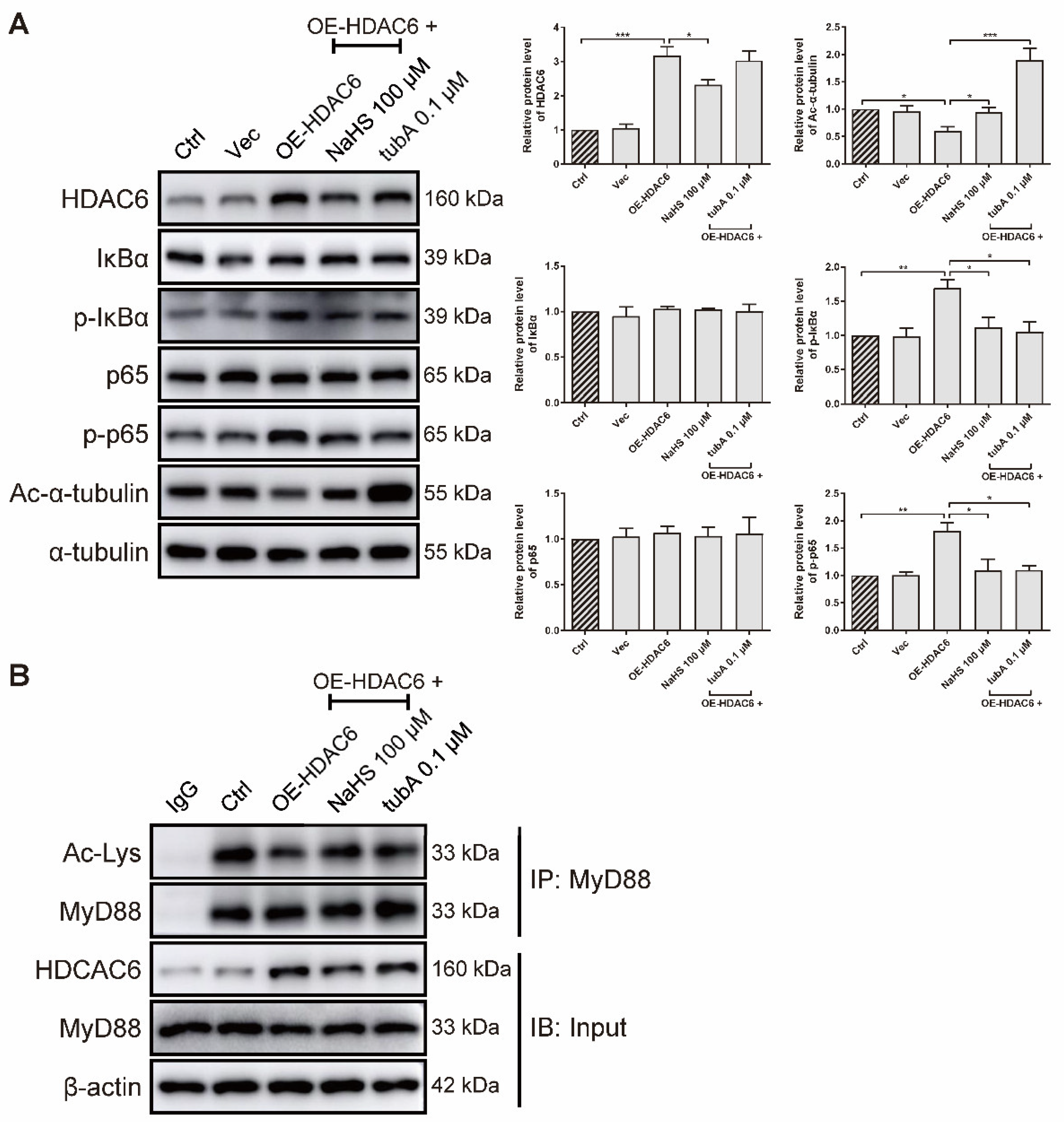 Antioxidants 11 00732 g005 Antioxidants 11 00732 g005