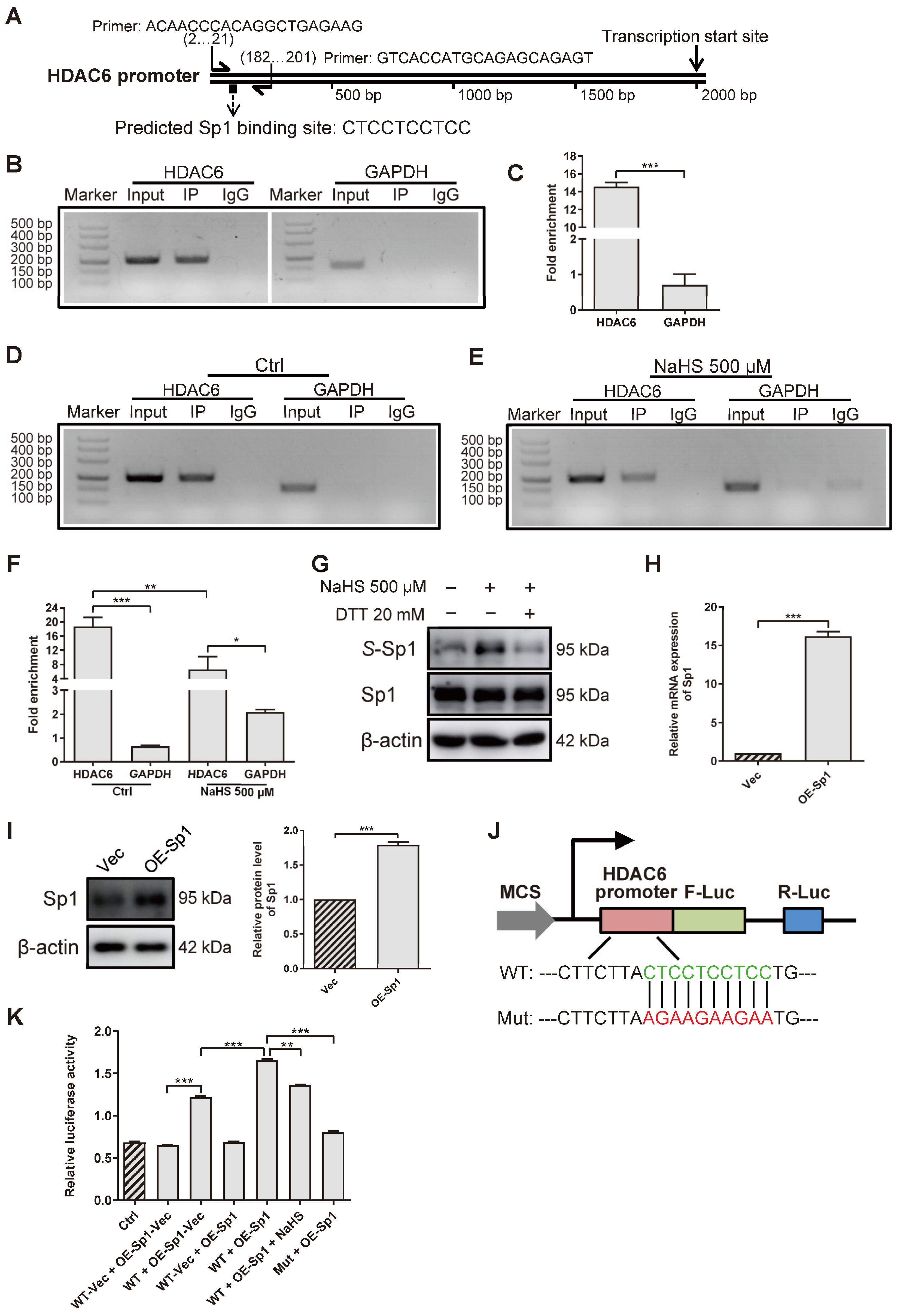 Antioxidants 11 00732 g006 Antioxidants 11 00732 g006