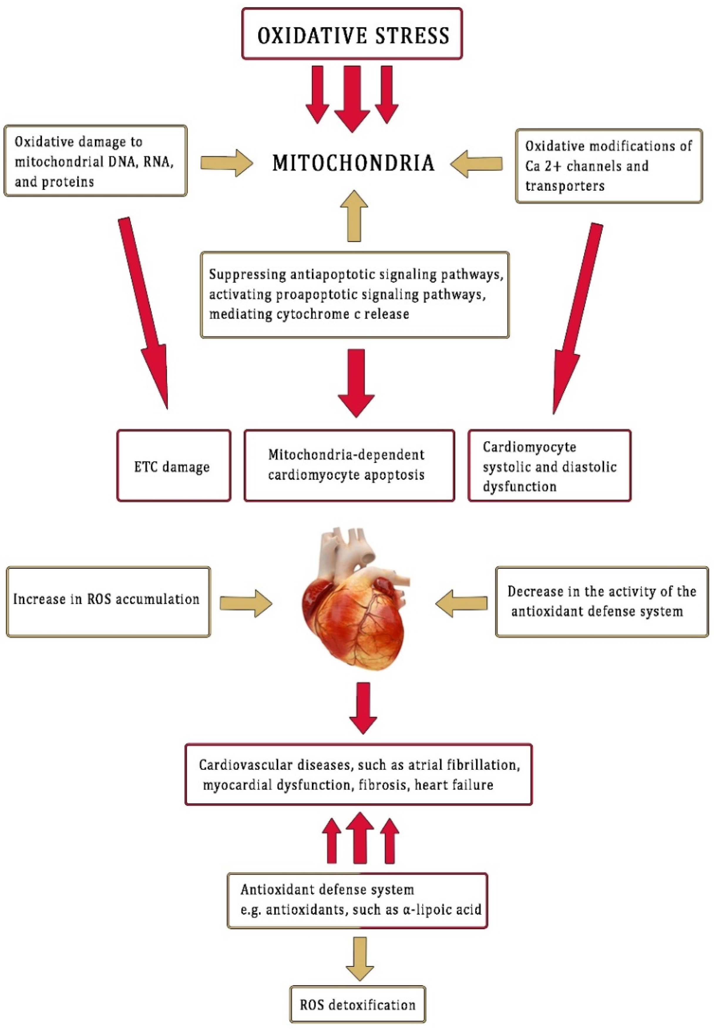 Antioxidants 11 00734 g007