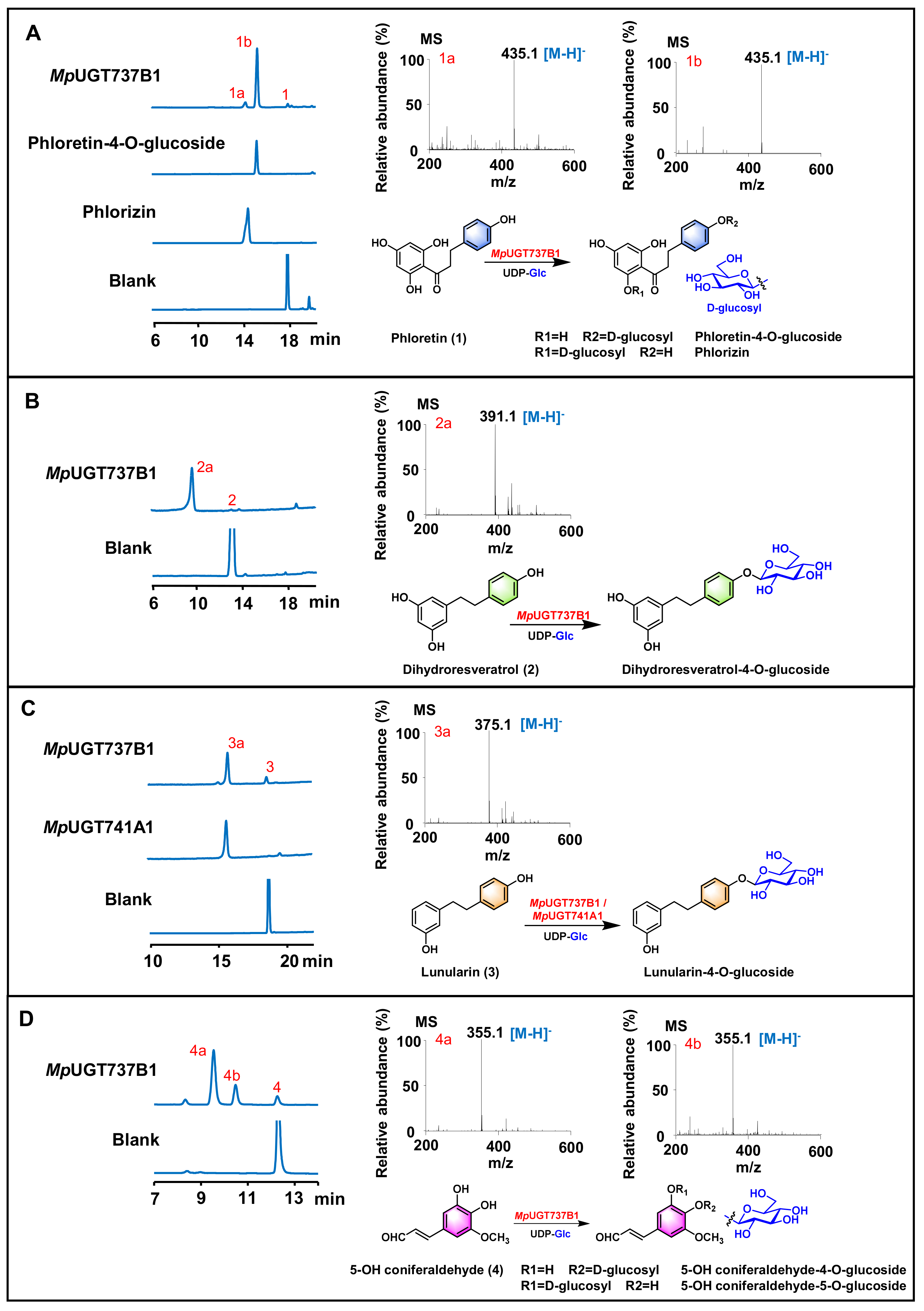 Antioxidants 11 00735 g002