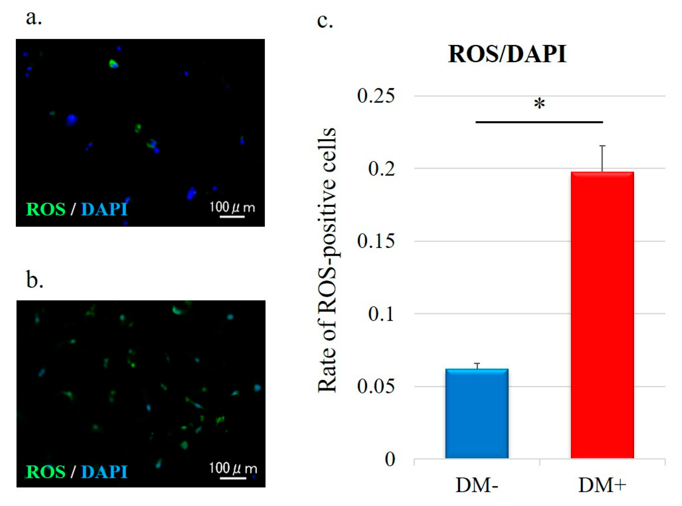 Antioxidants 11 00743 g004 Antioxidants 11 00743 g004