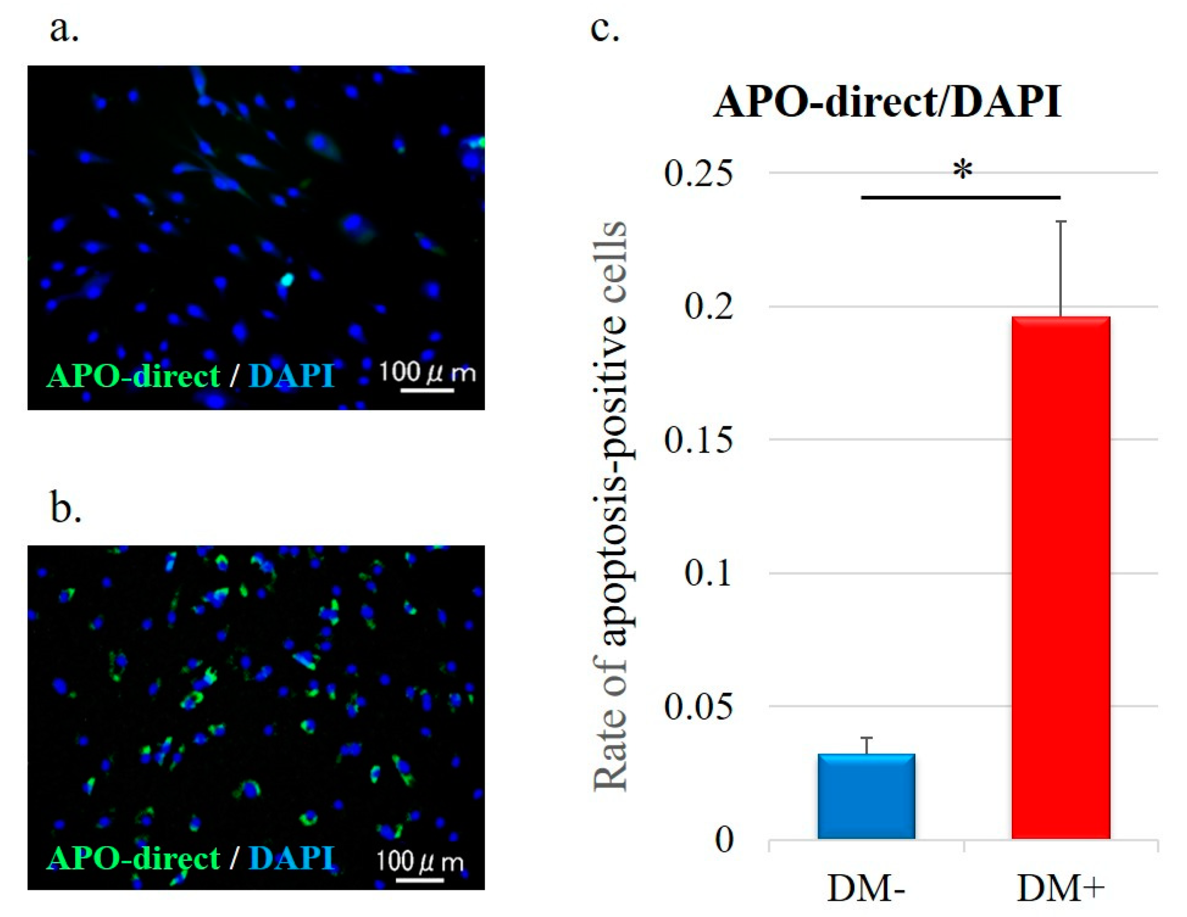 Antioxidants 11 00743 g005 Antioxidants 11 00743 g005
