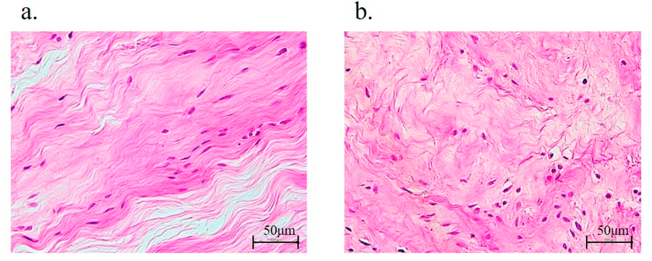 Antioxidants 11 00743 g006 Antioxidants 11 00743 g006