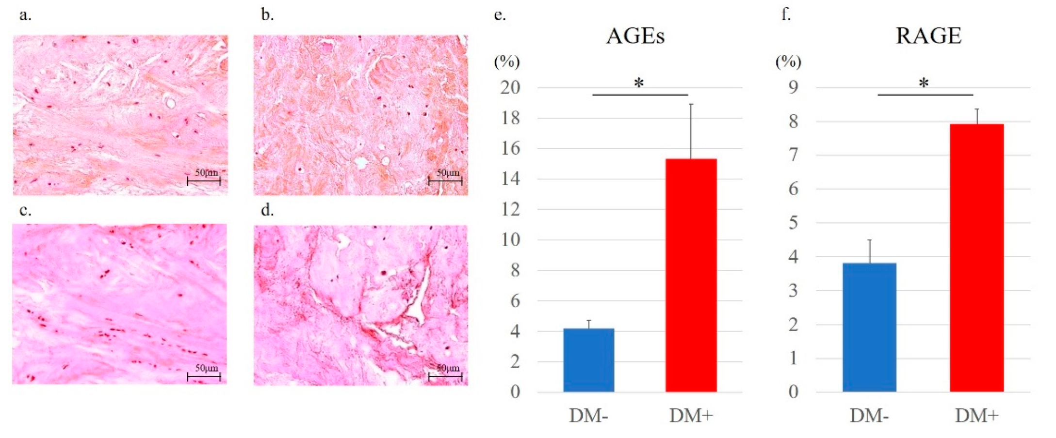 Antioxidants 11 00743 g008 Antioxidants 11 00743 g008