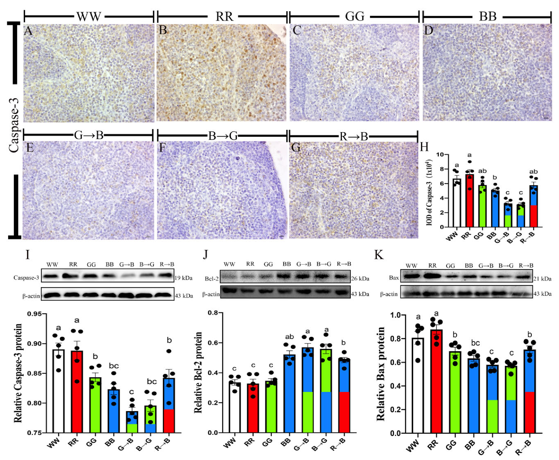 Antioxidants 11 00748 g001