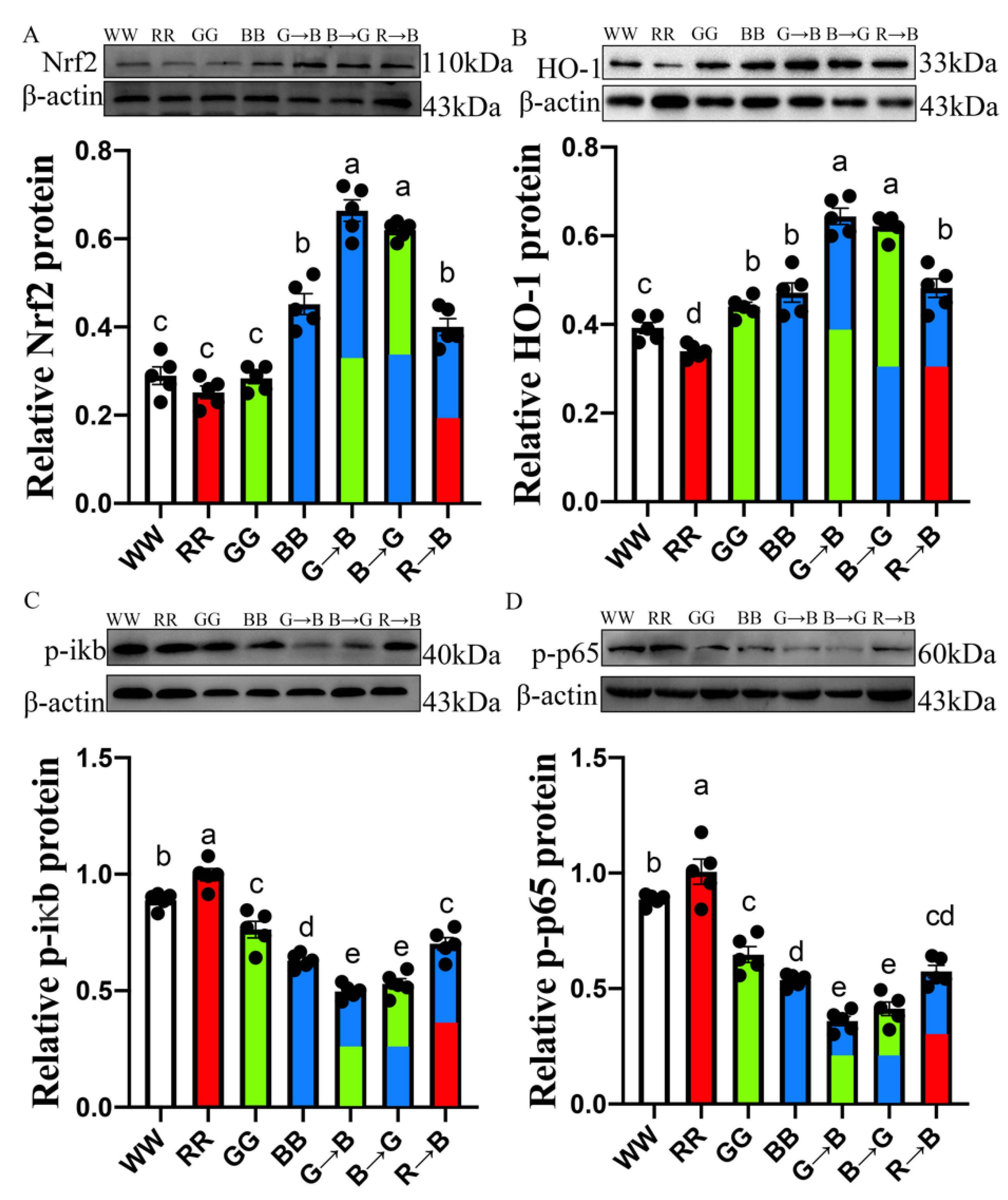 Antioxidants 11 00748 g004