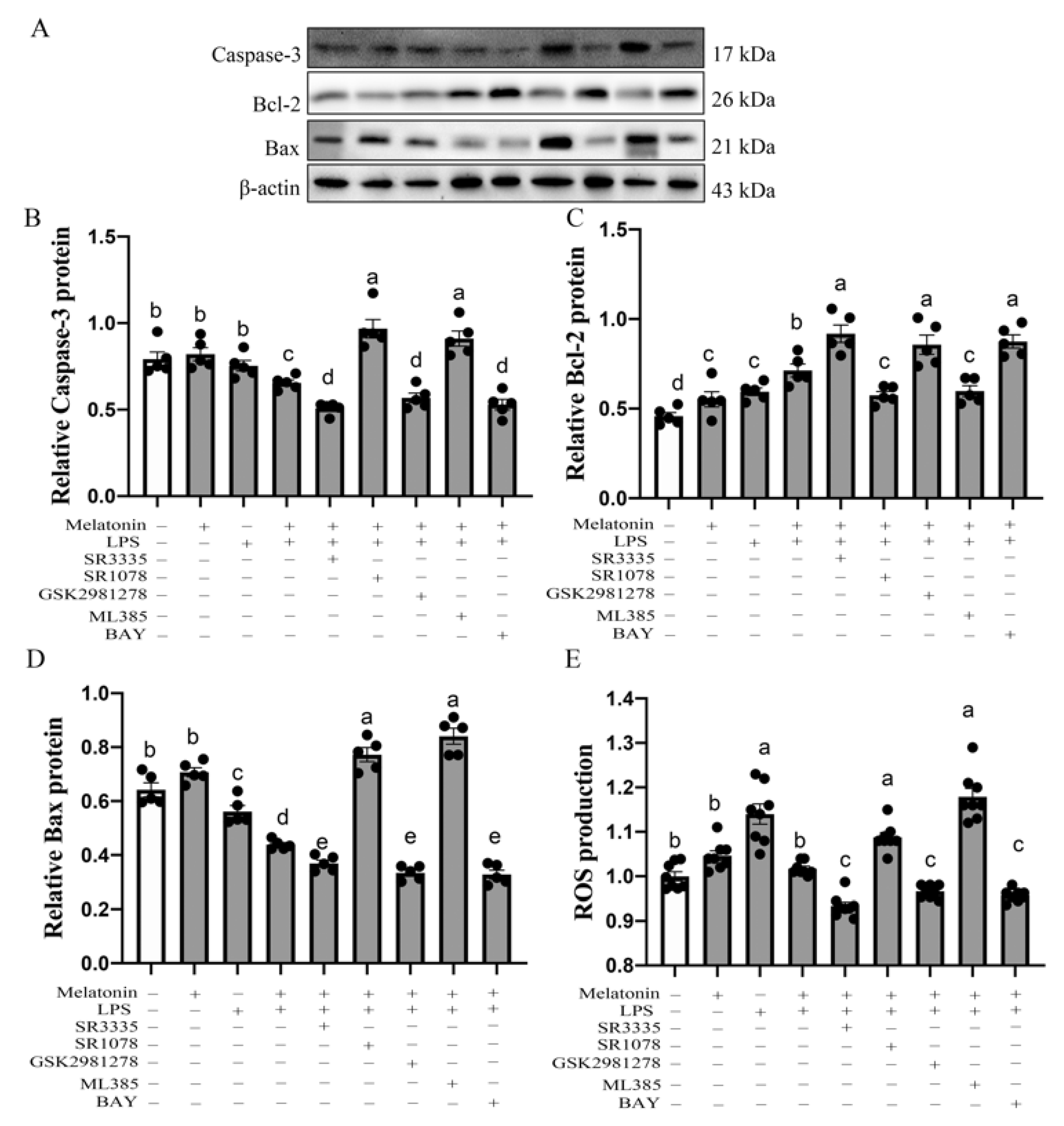 Antioxidants 11 00748 g005
