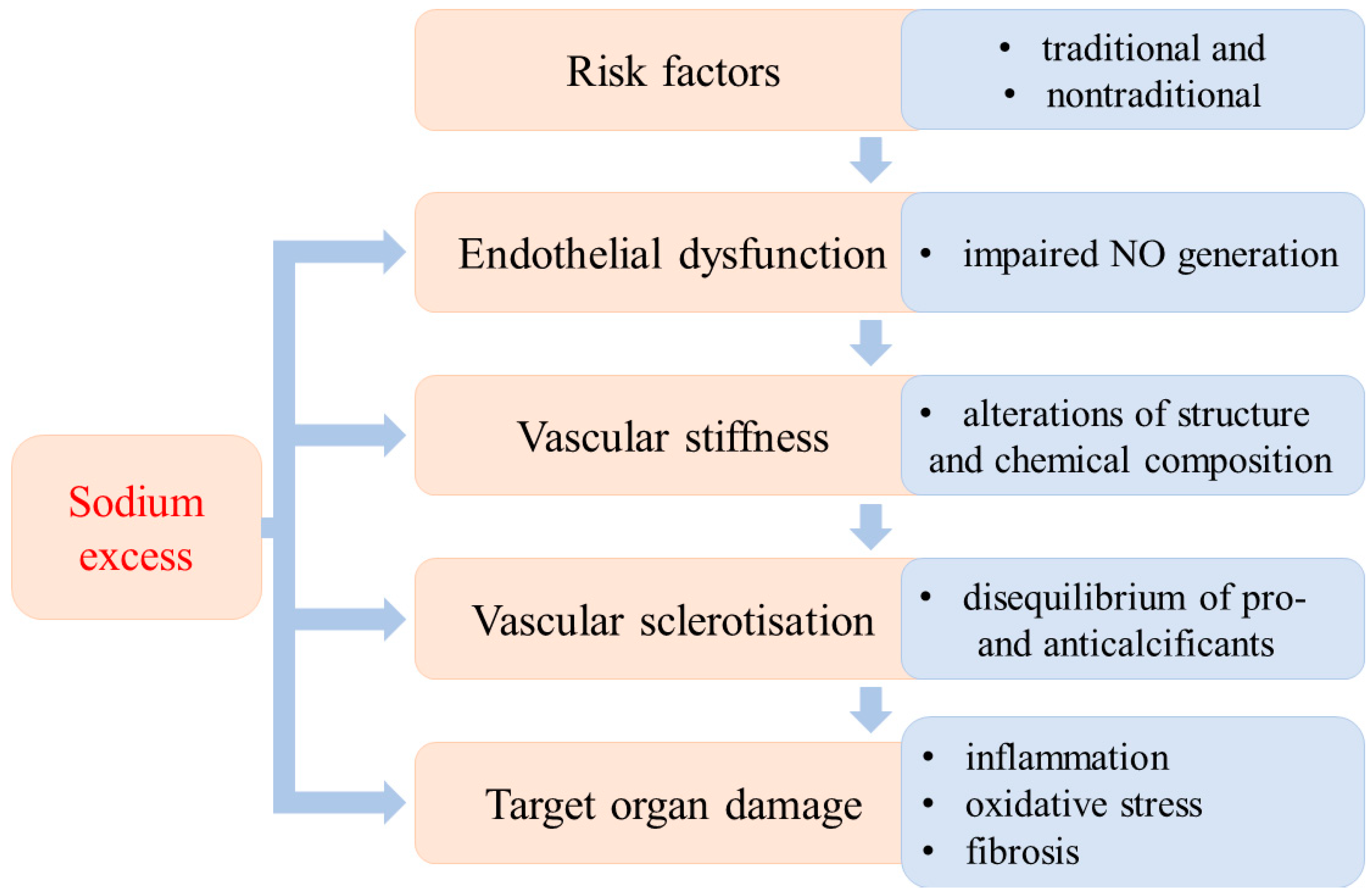 Antioxidants 11 00750 g001 Antioxidants 11 00750 g001