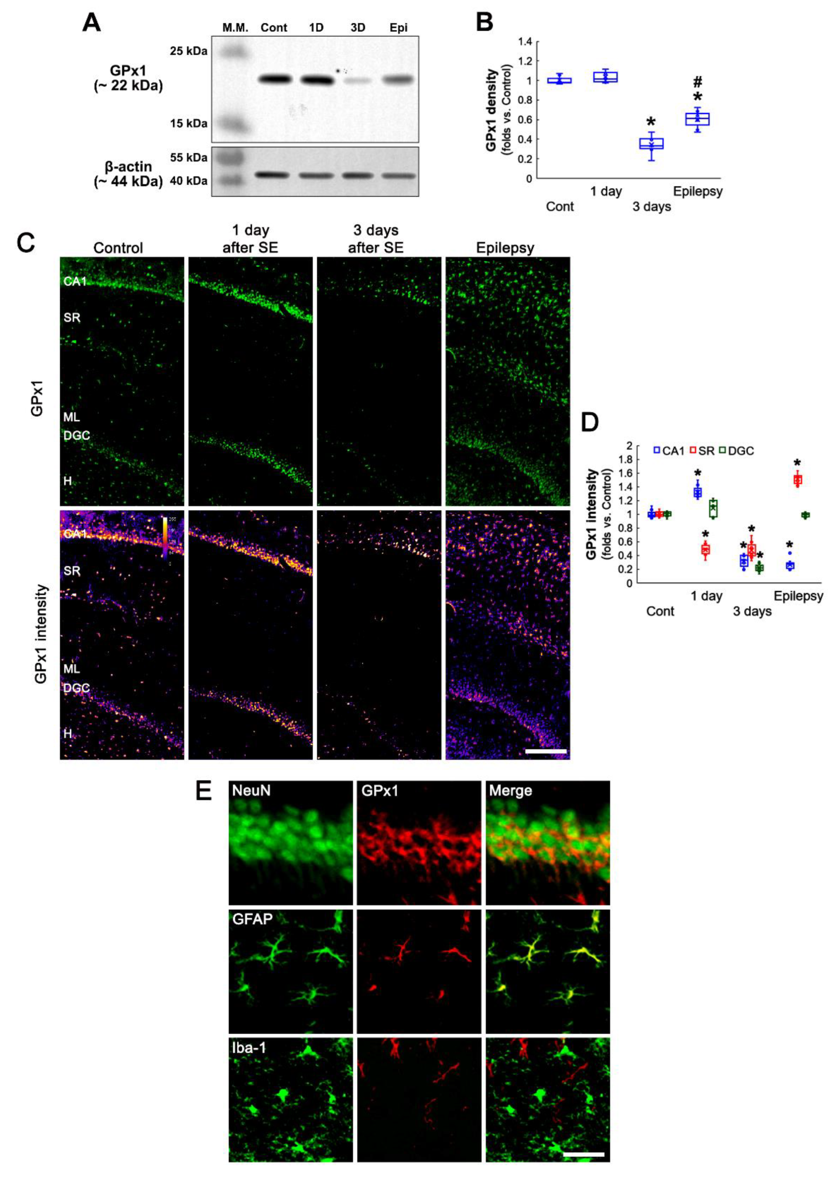 Antioxidants 11 00756 g001 550
