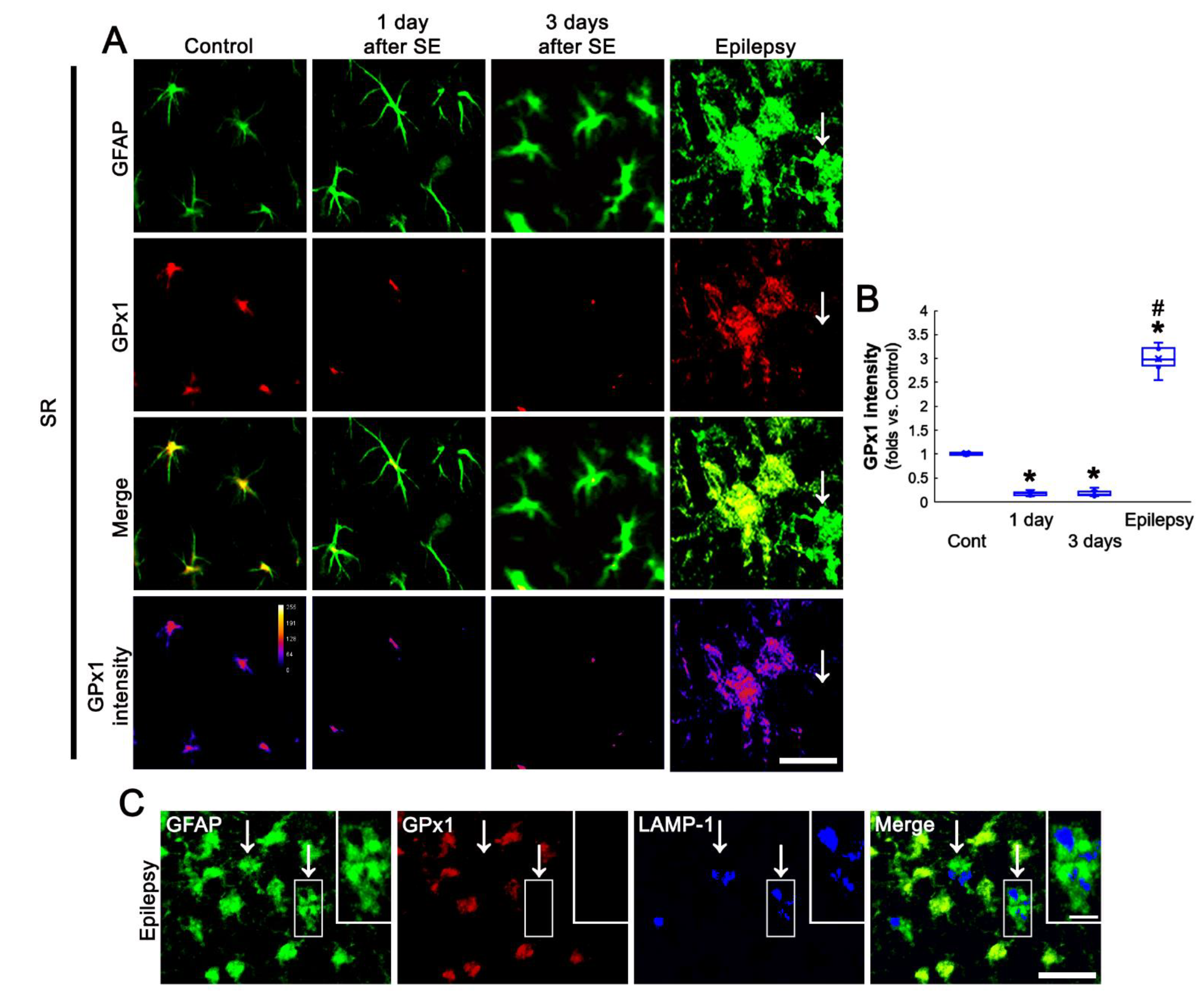 Antioxidants 11 00756 g005 550