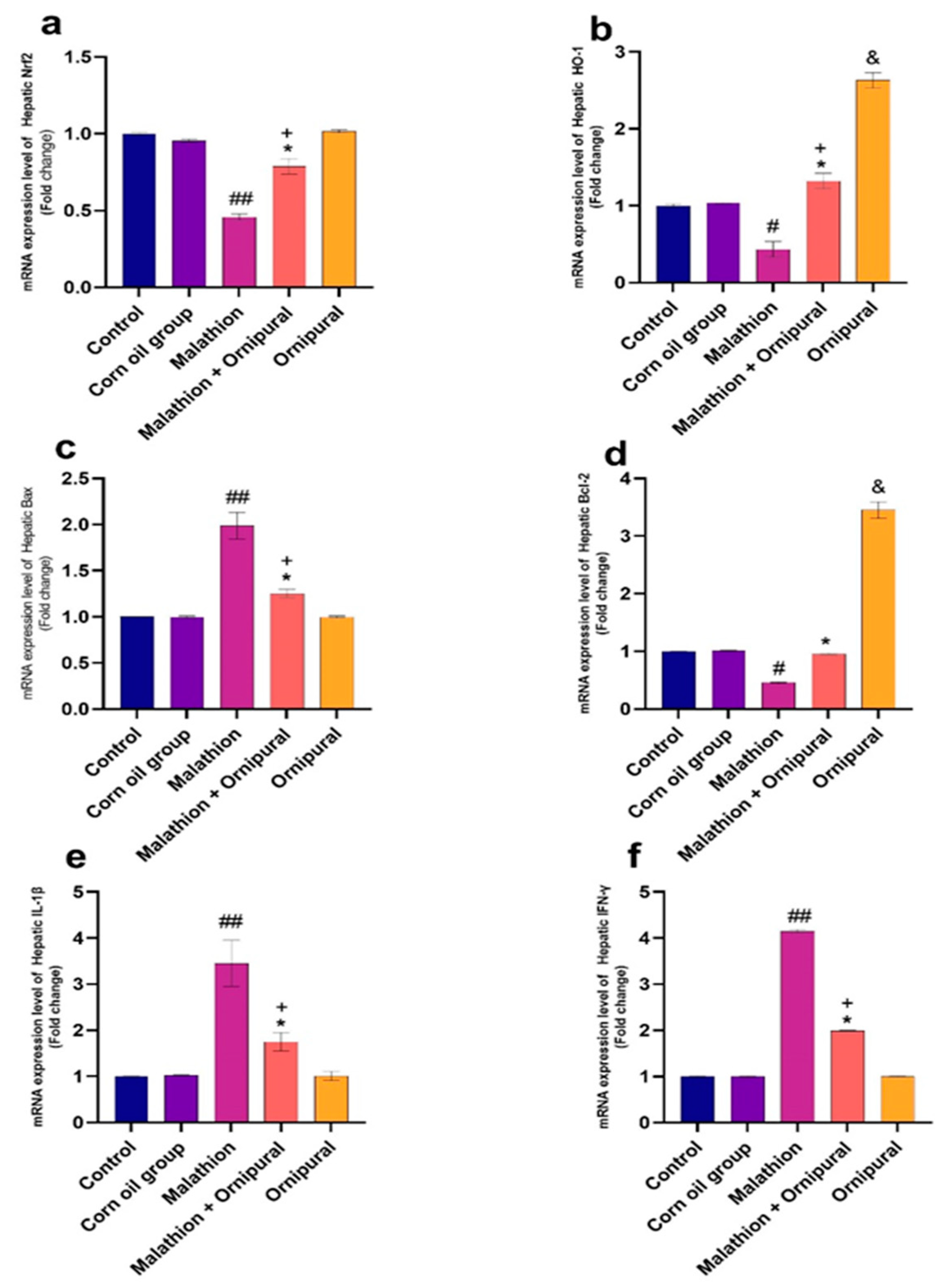 Antioxidants 11 00757 g003