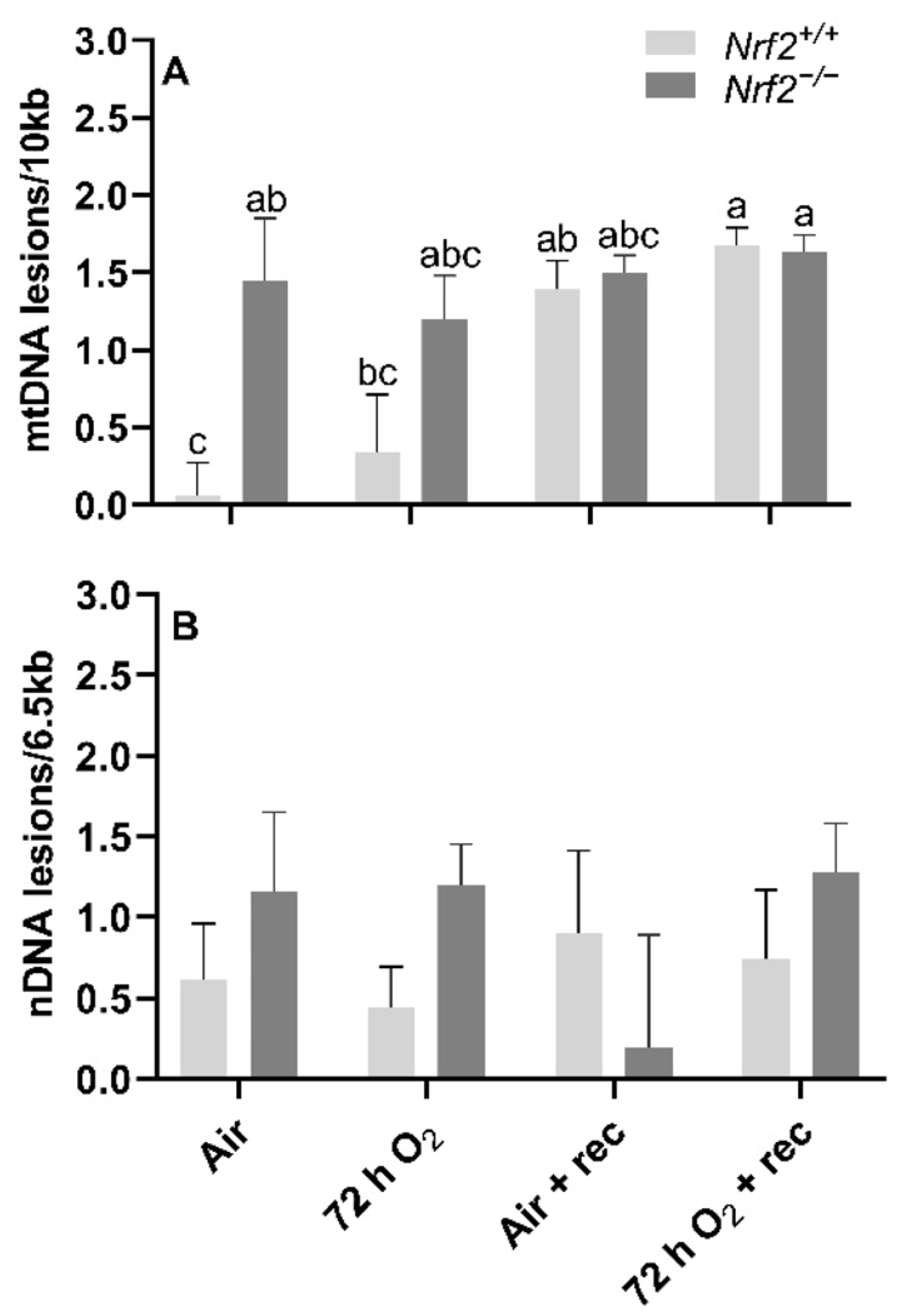 Antioxidants 11 00760 g005