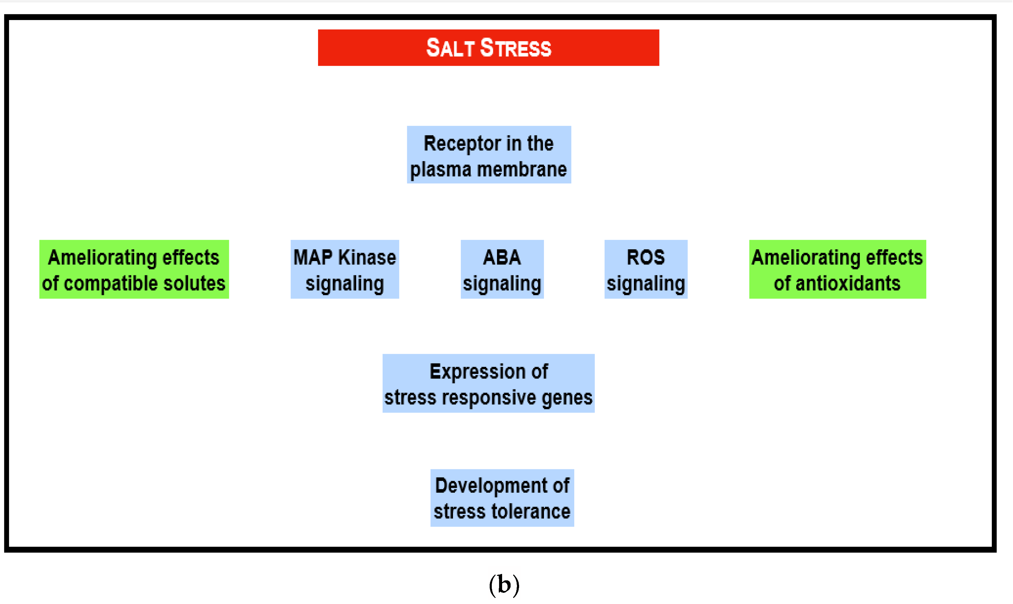 Antioxidants 11 00761 g006b Antioxidants 11 00761 g006b