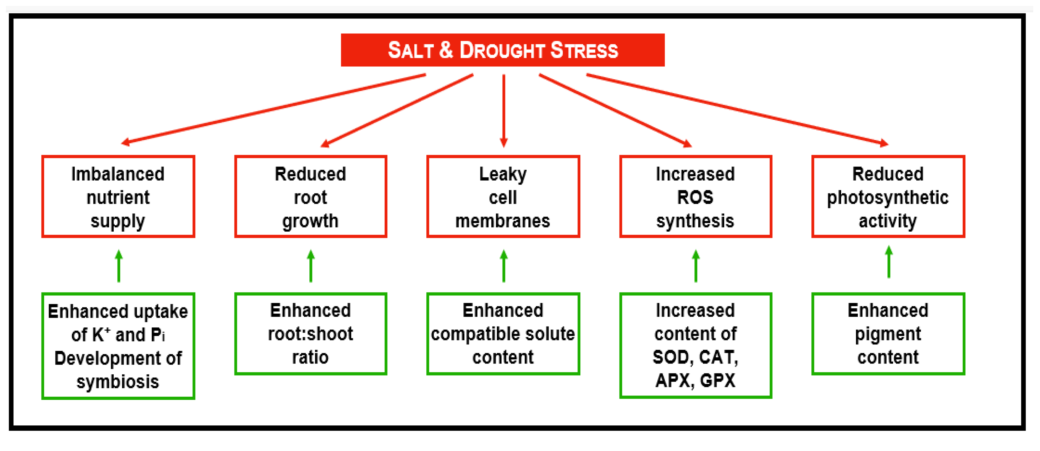 Antioxidants 11 00761 g007 Antioxidants 11 00761 g007