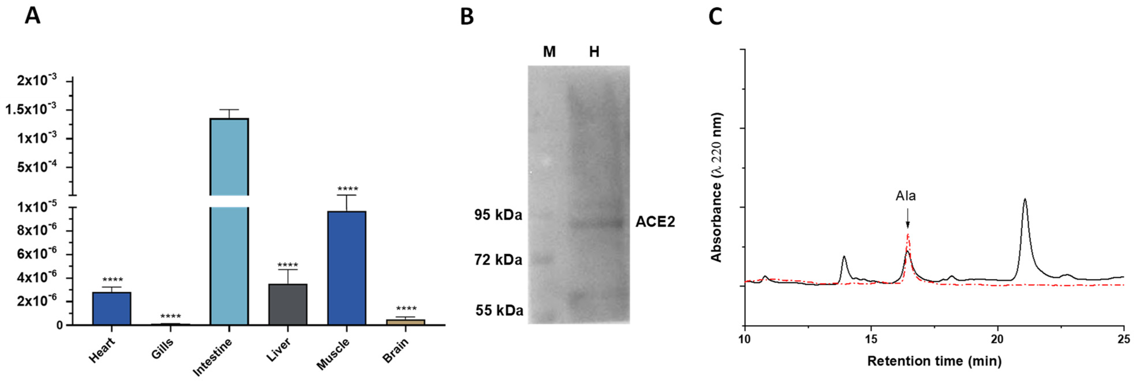 Antioxidants 11 00764 g001