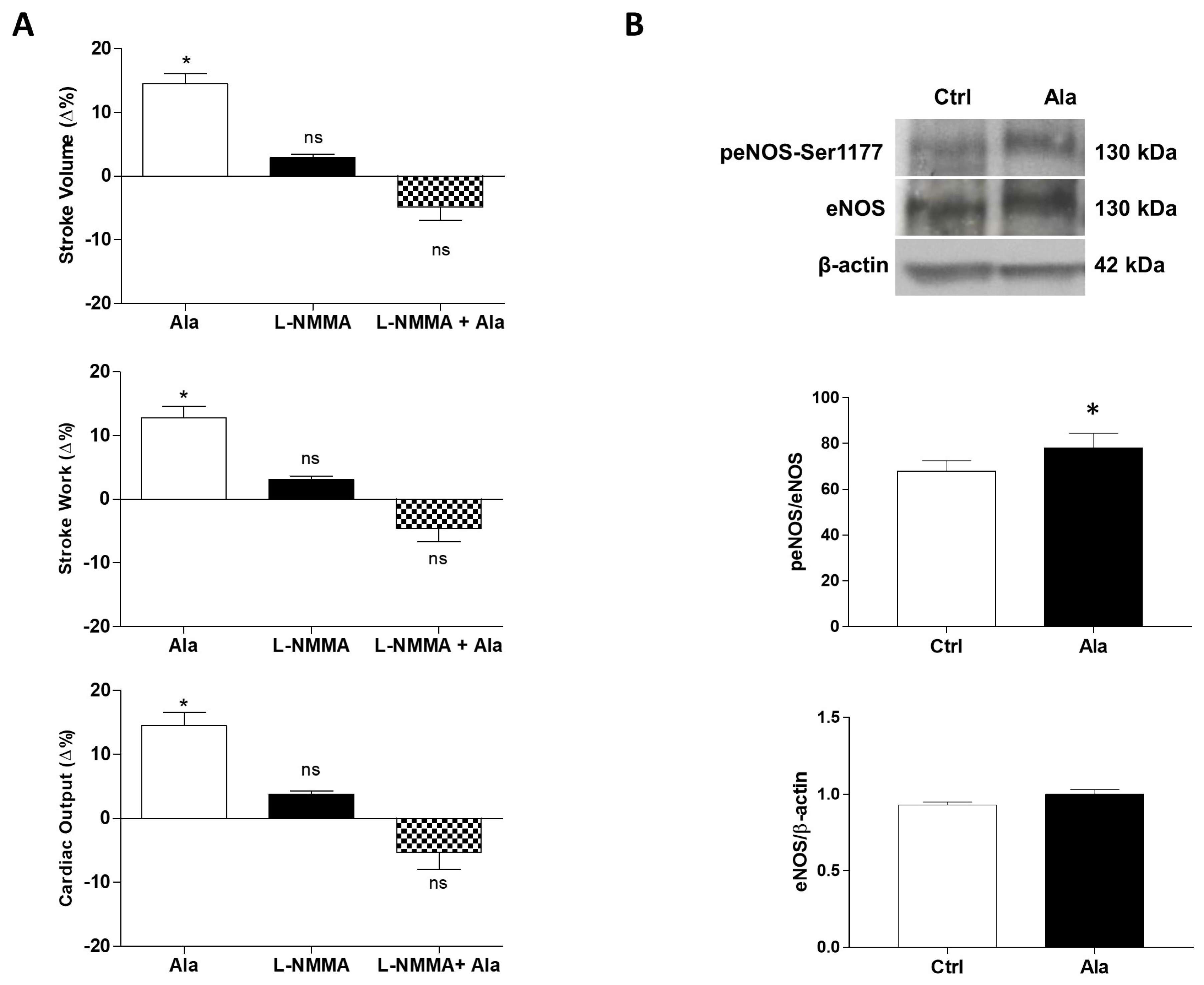 Antioxidants 11 00764 g004