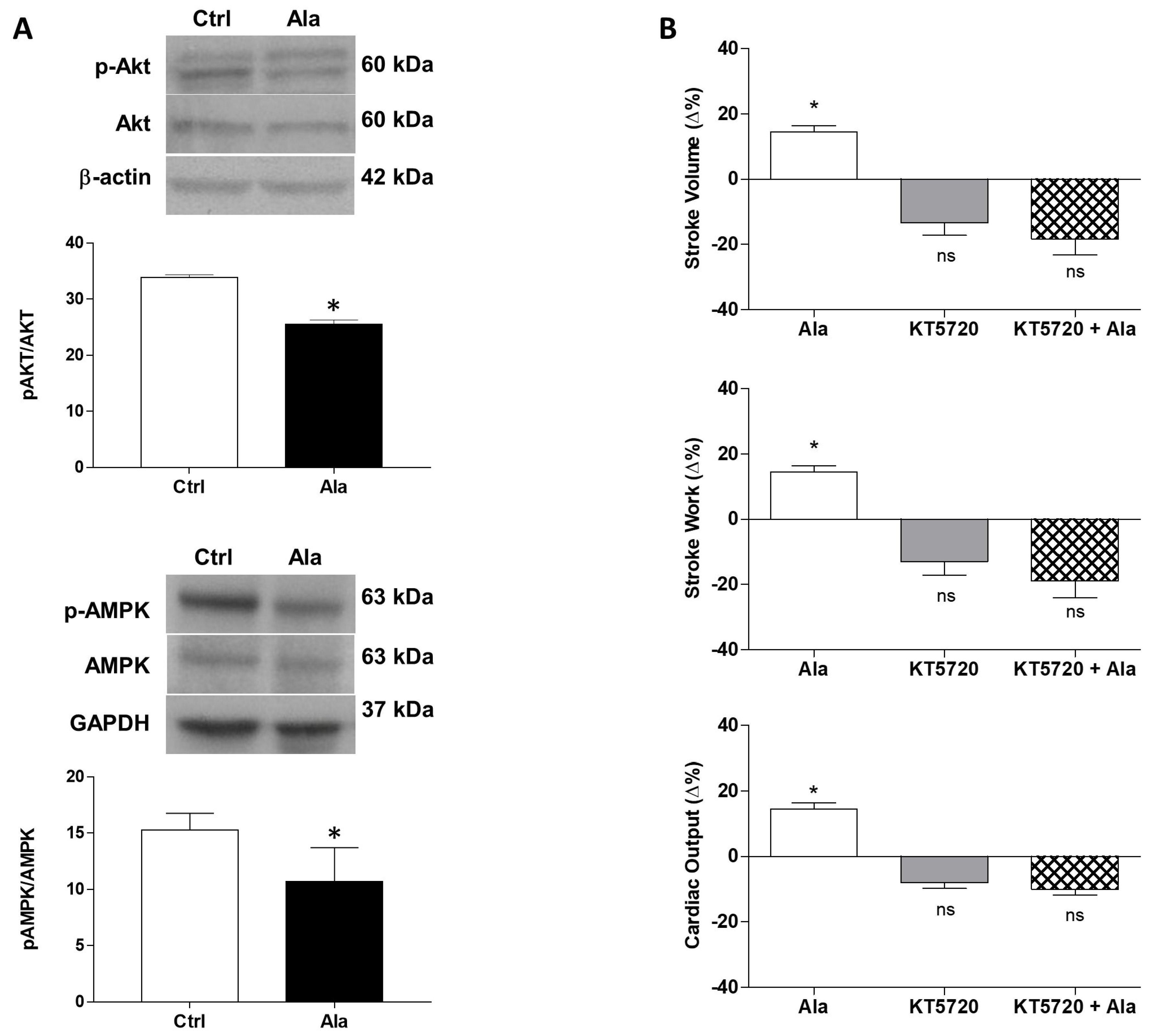 Antioxidants 11 00764 g005