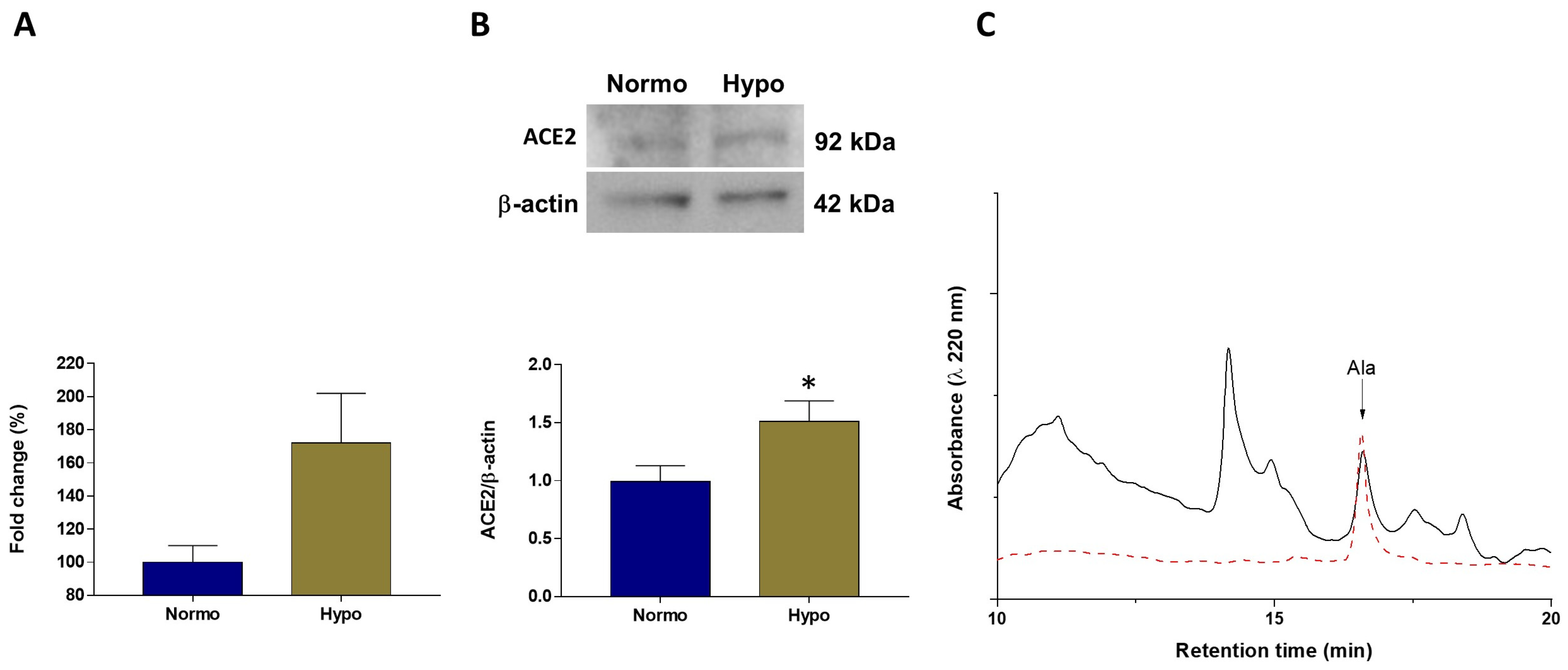 Antioxidants 11 00764 g006