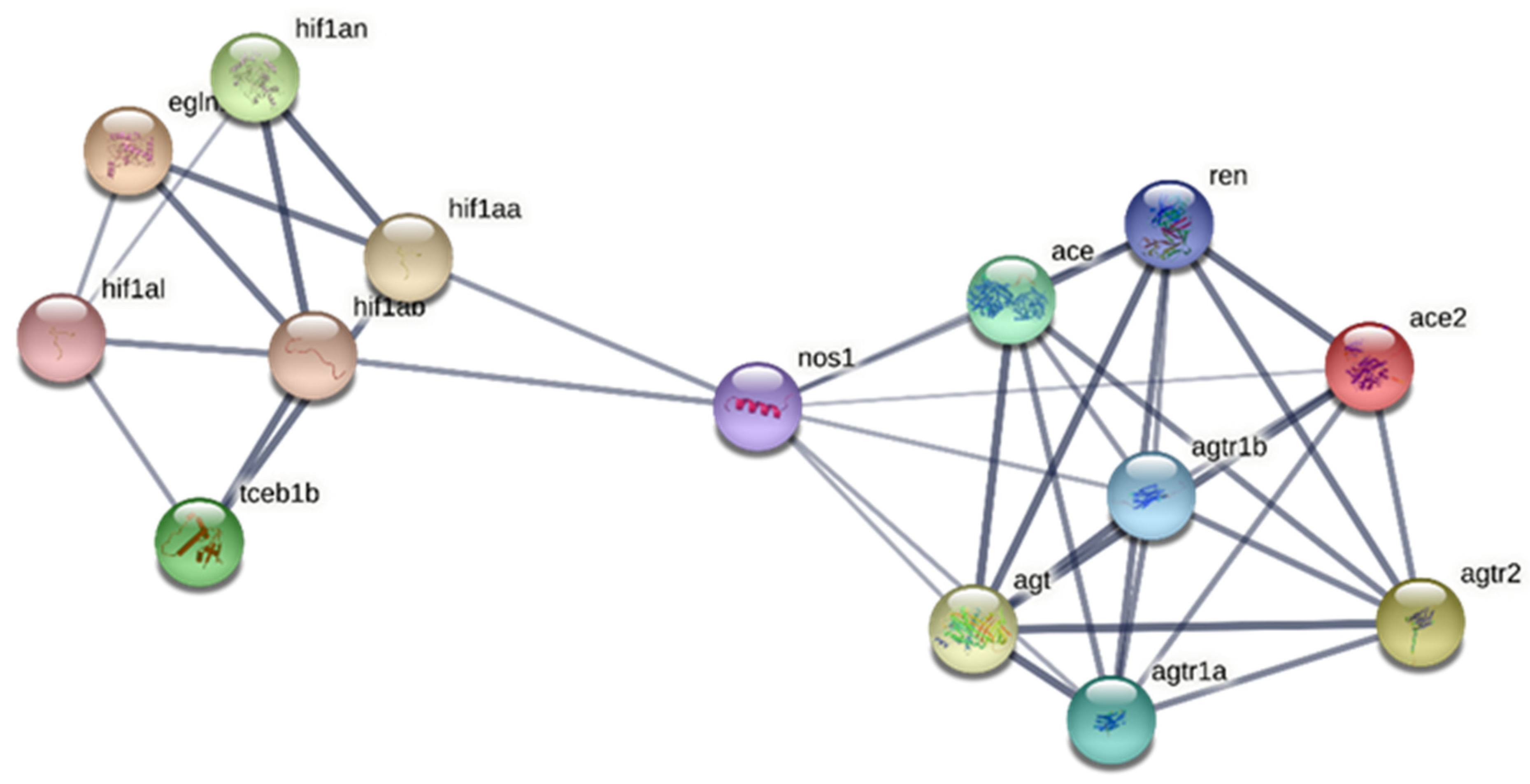 Antioxidants 11 00764 g007