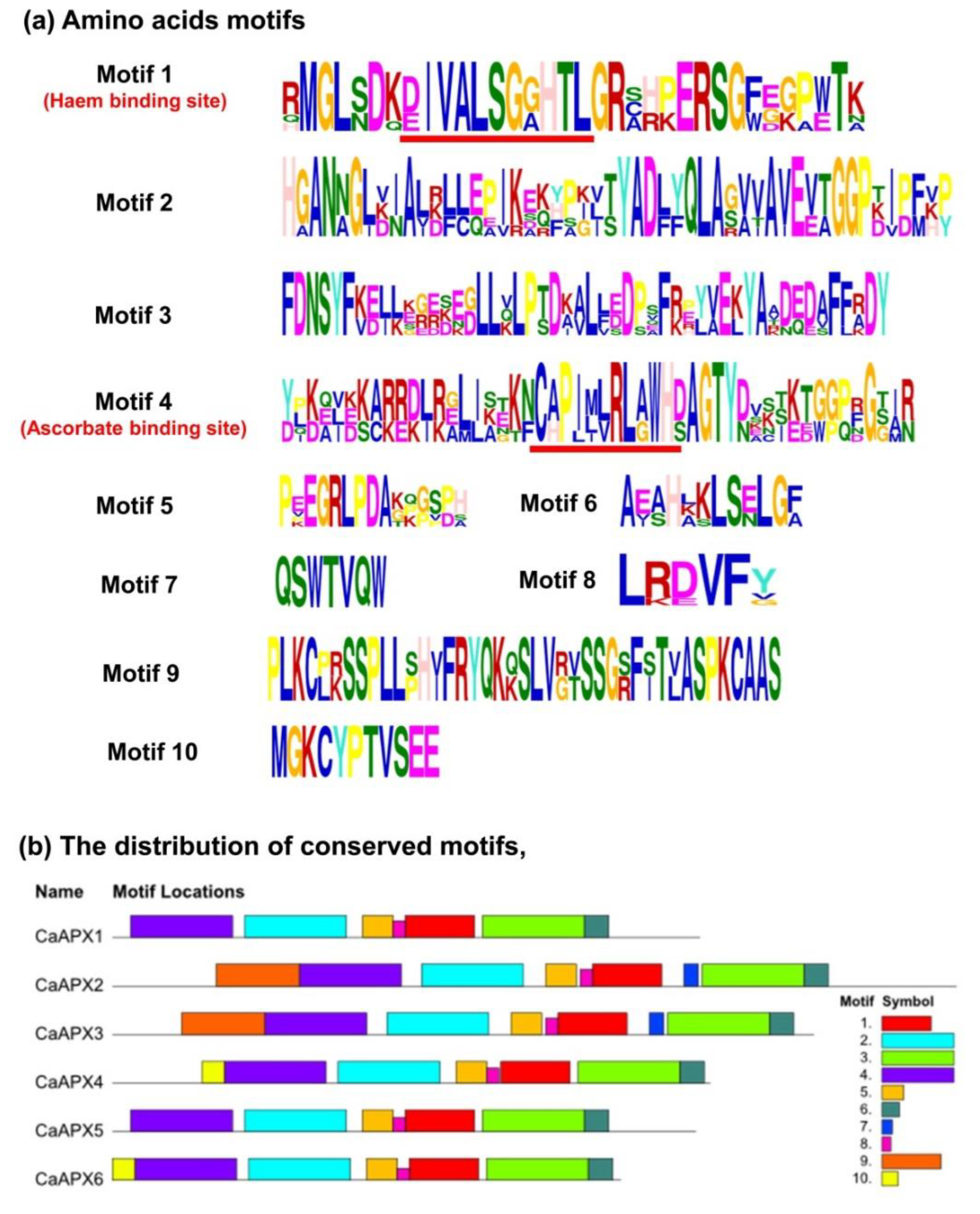 Antioxidants 11 00765 g001 550