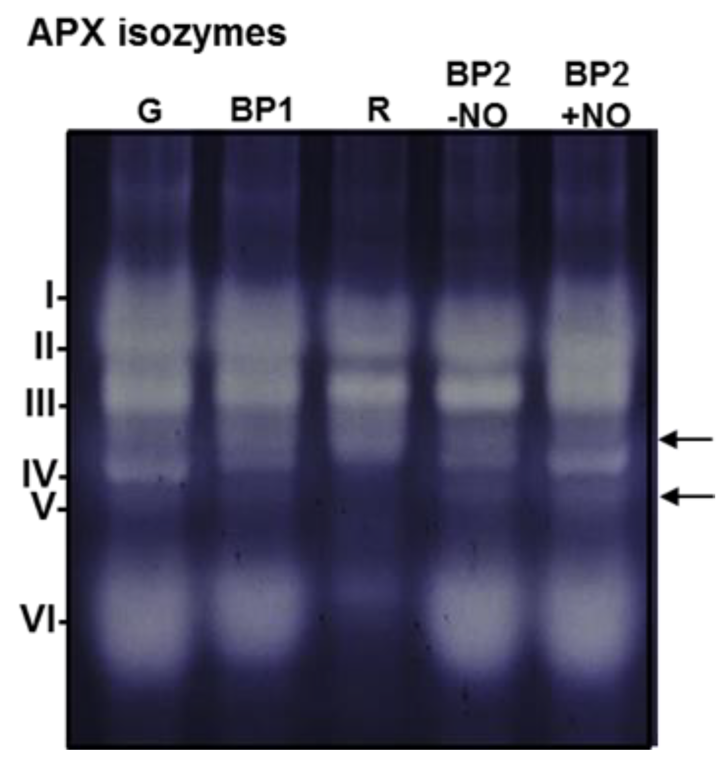 Antioxidants 11 00765 g005 550