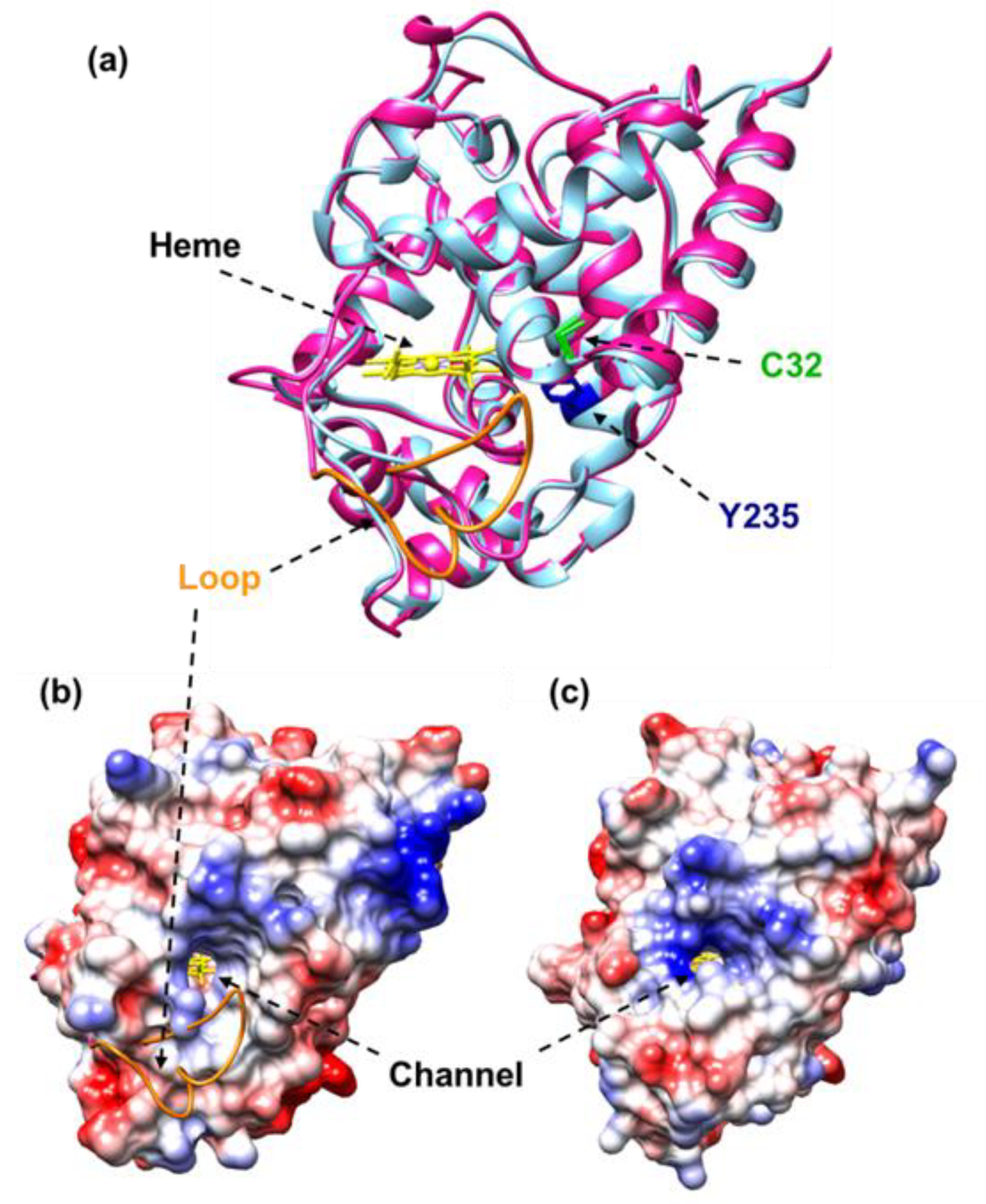 Antioxidants 11 00765 g007 550