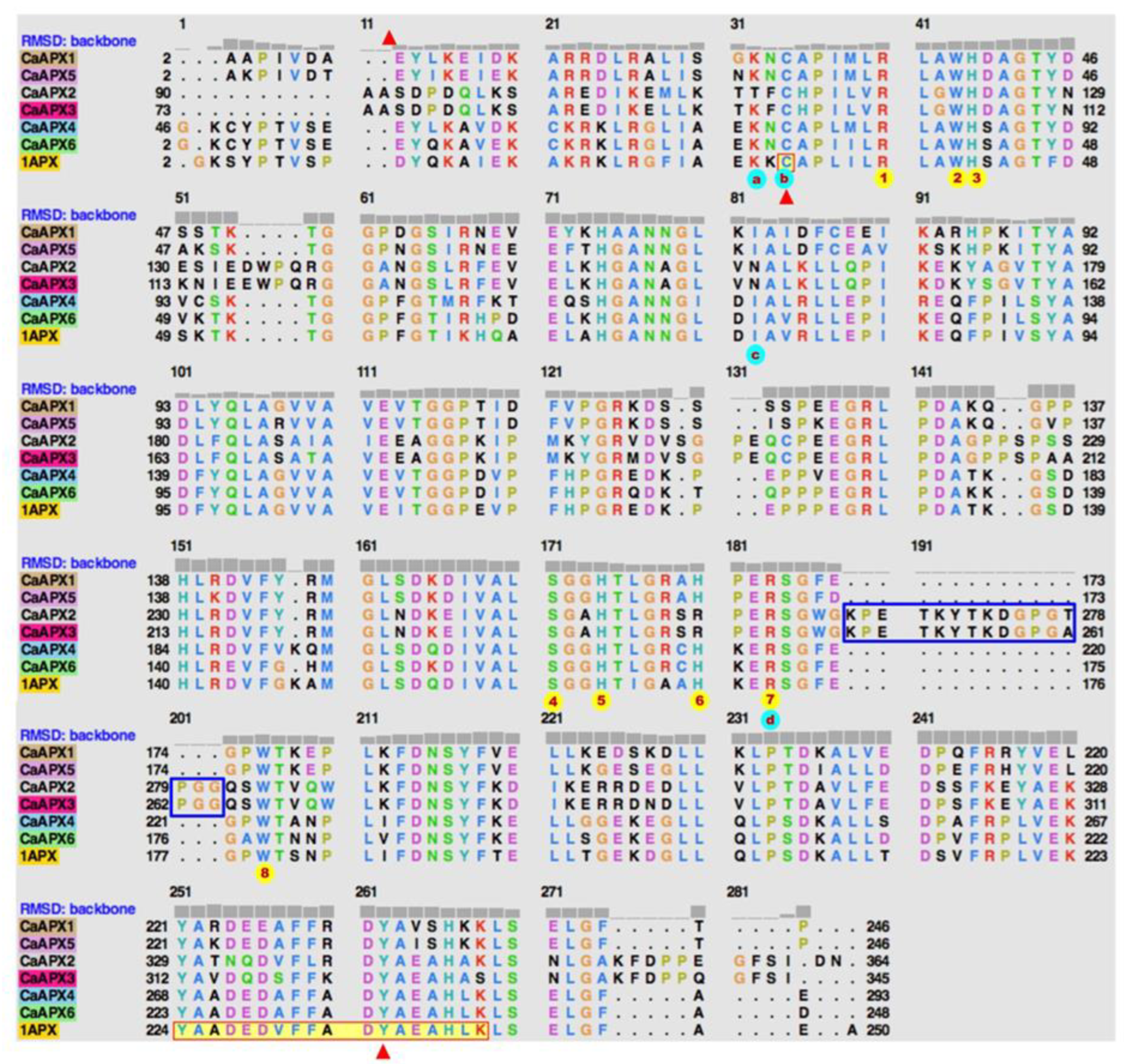Antioxidants 11 00765 g008 550