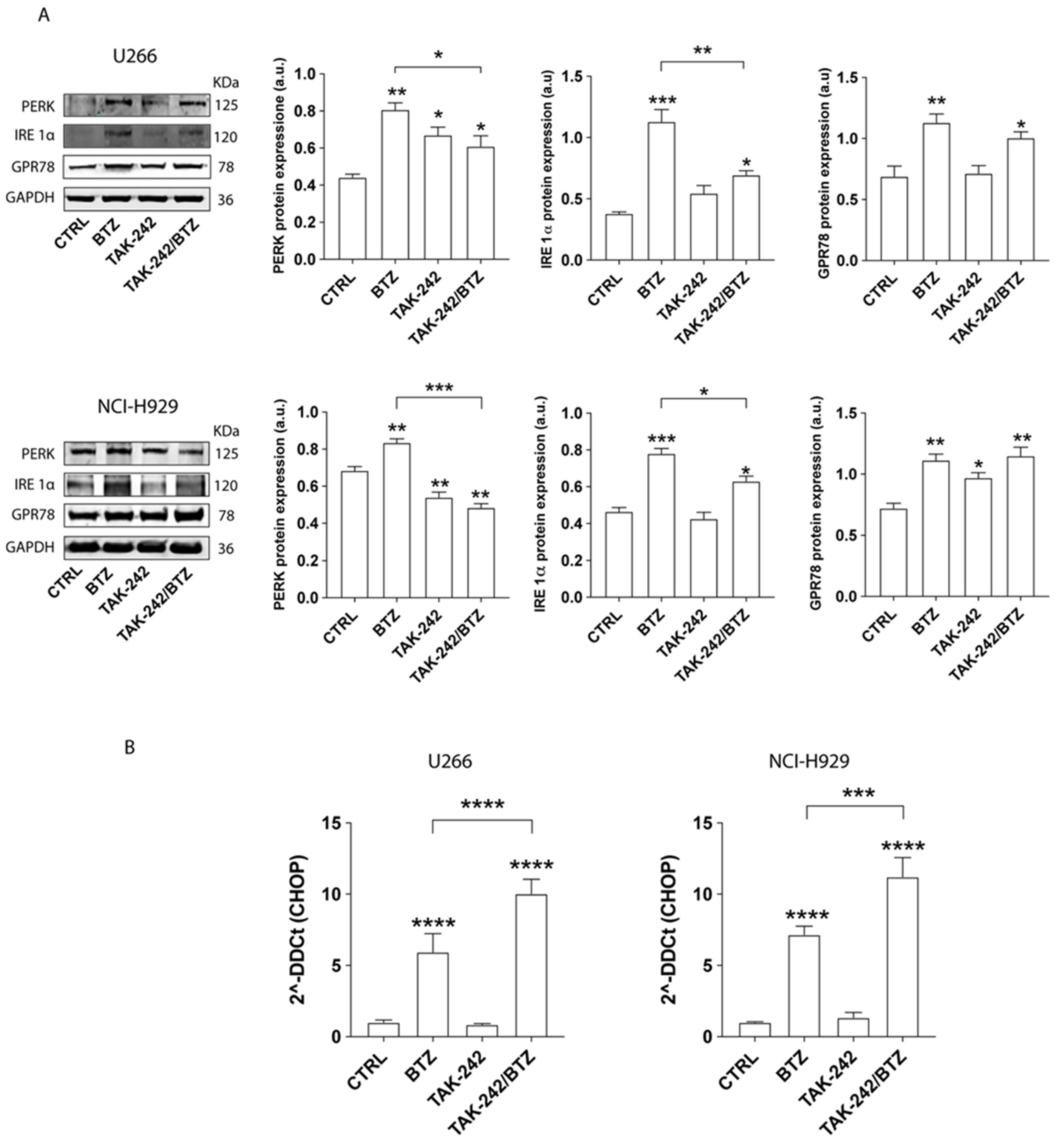 Antioxidants 11 00767 g004