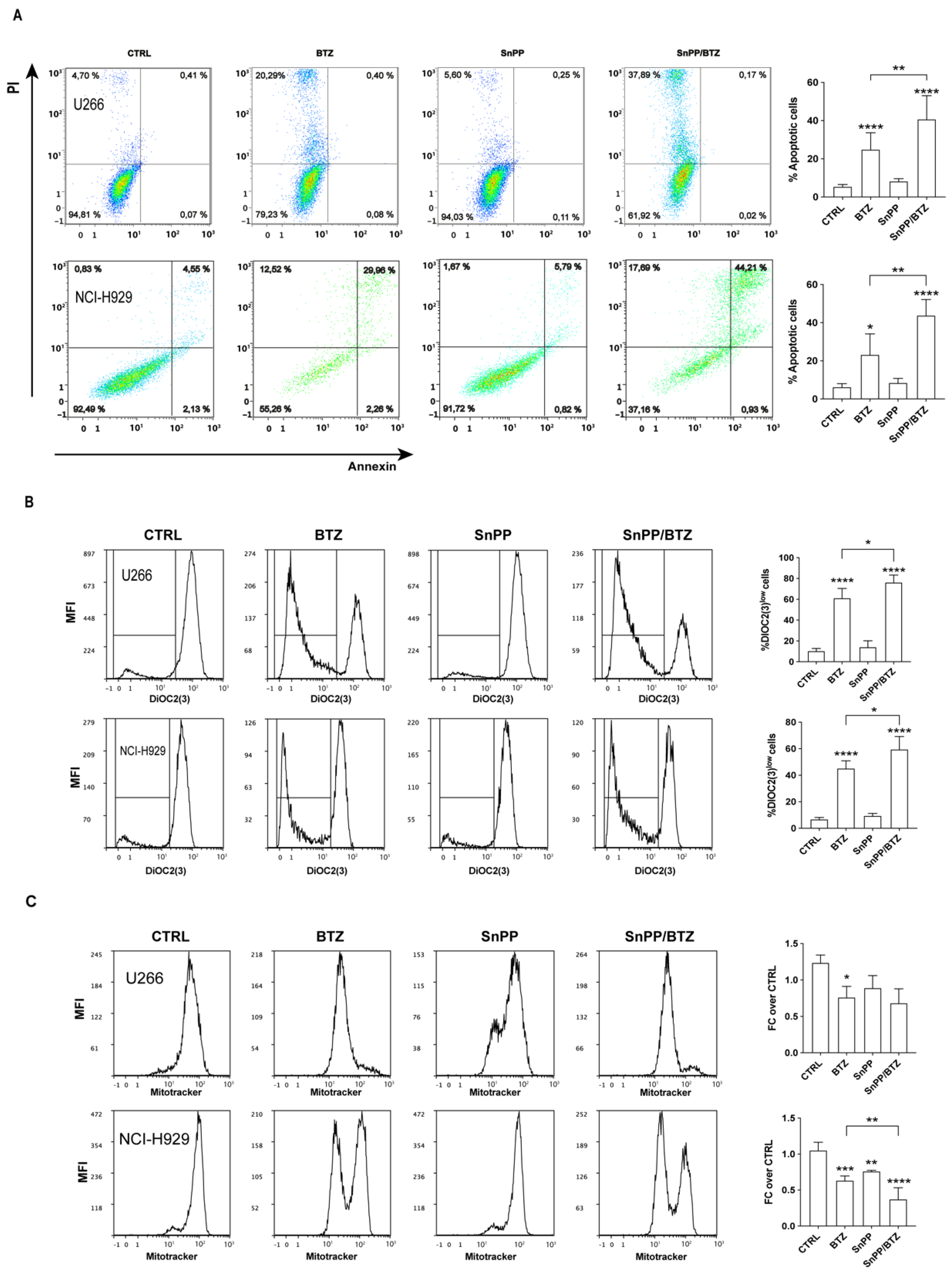Antioxidants 11 00767 g005