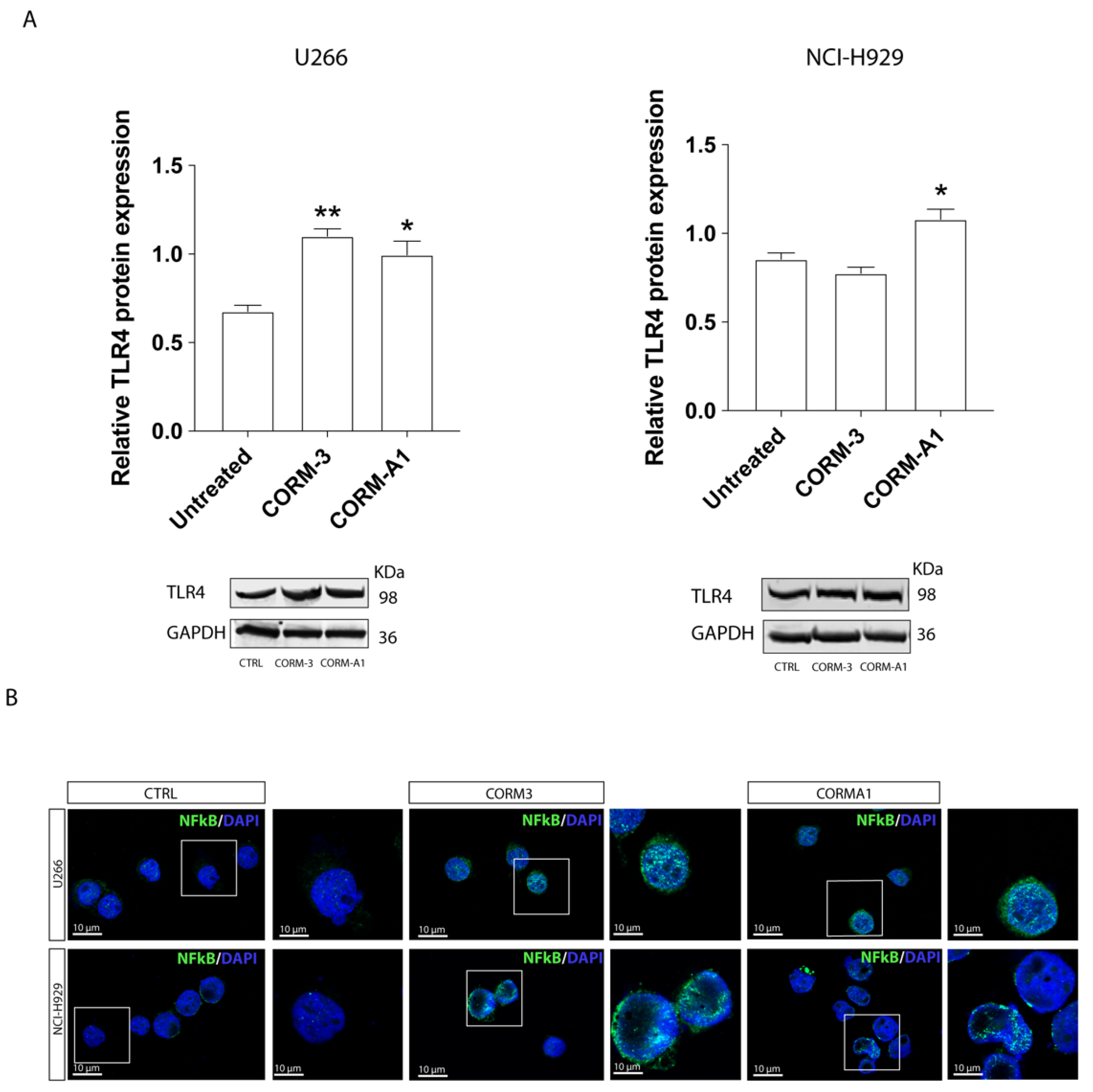 Antioxidants 11 00767 g008