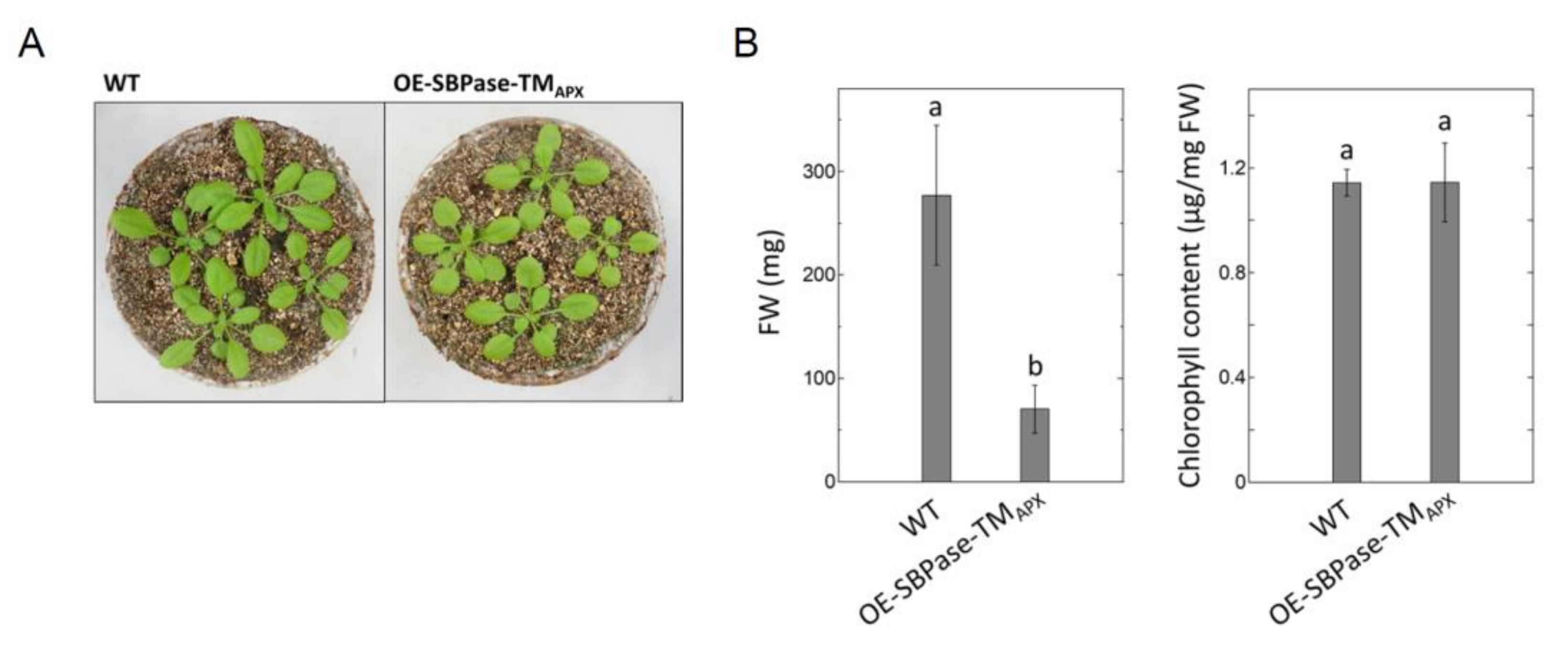 Antioxidants 11 00773 g002 550