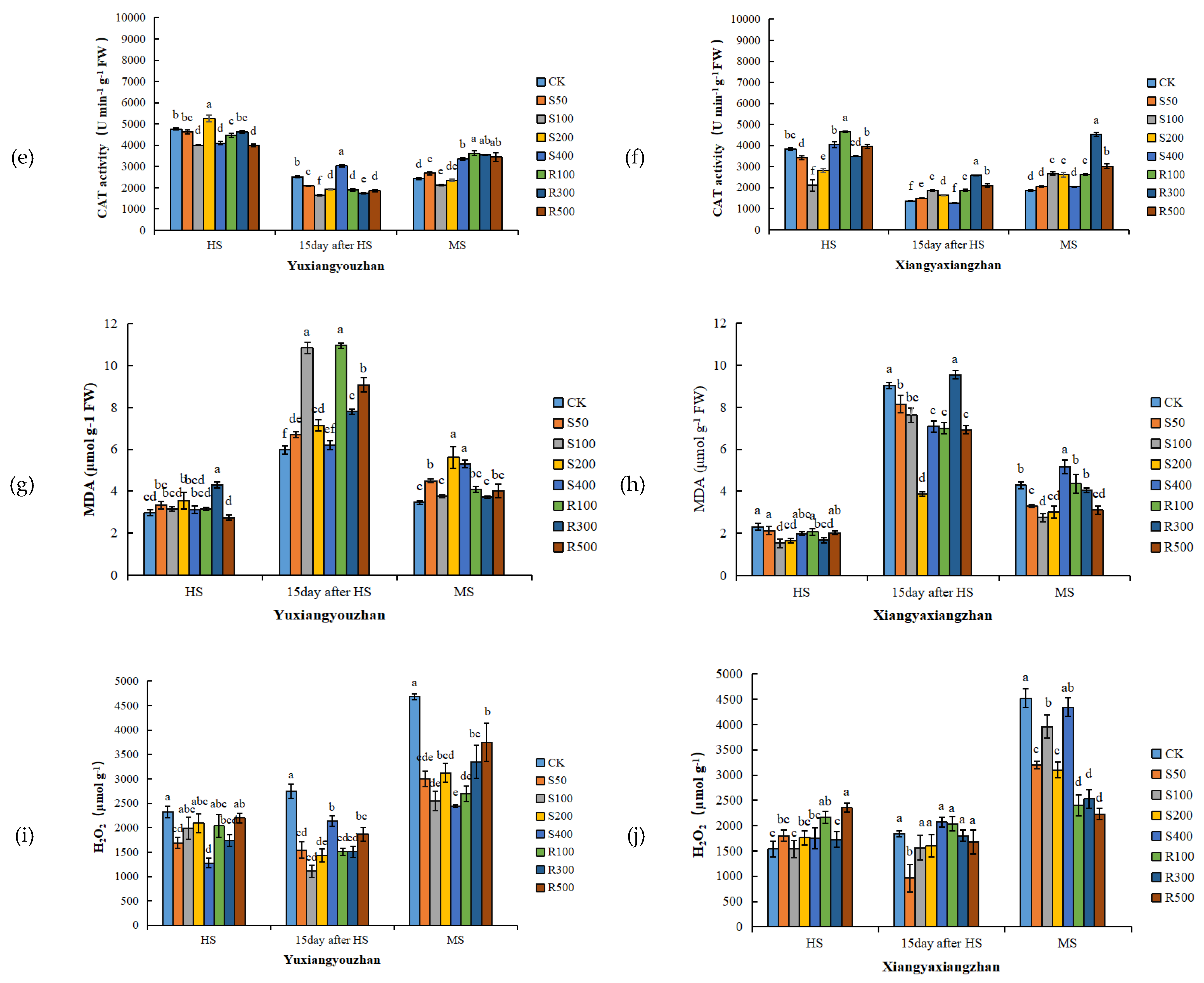 Antioxidants 11 00776 g003b