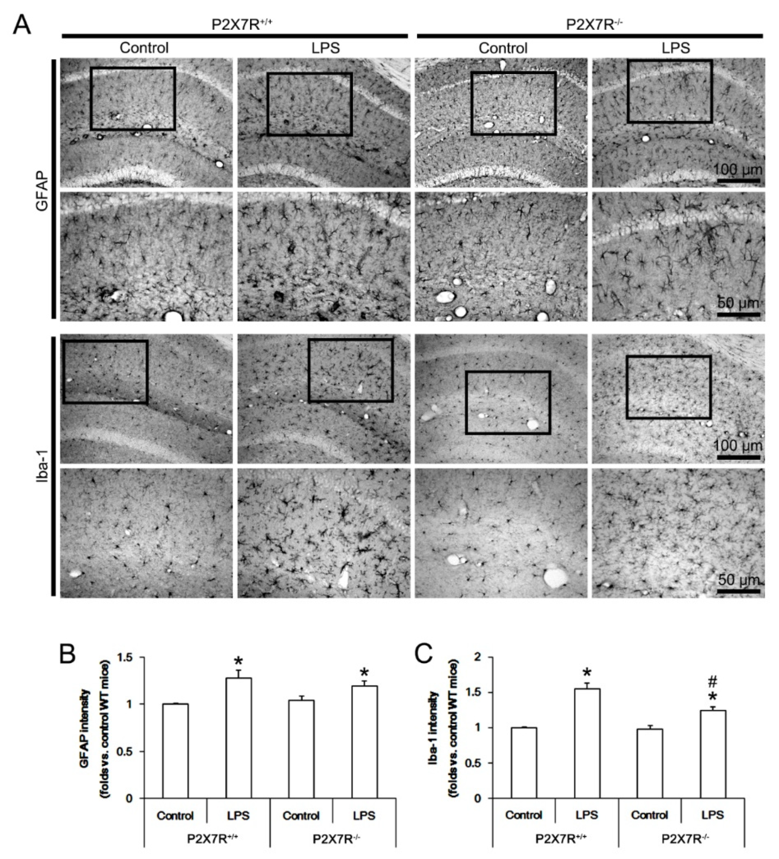 Antioxidants 11 00778 g001
