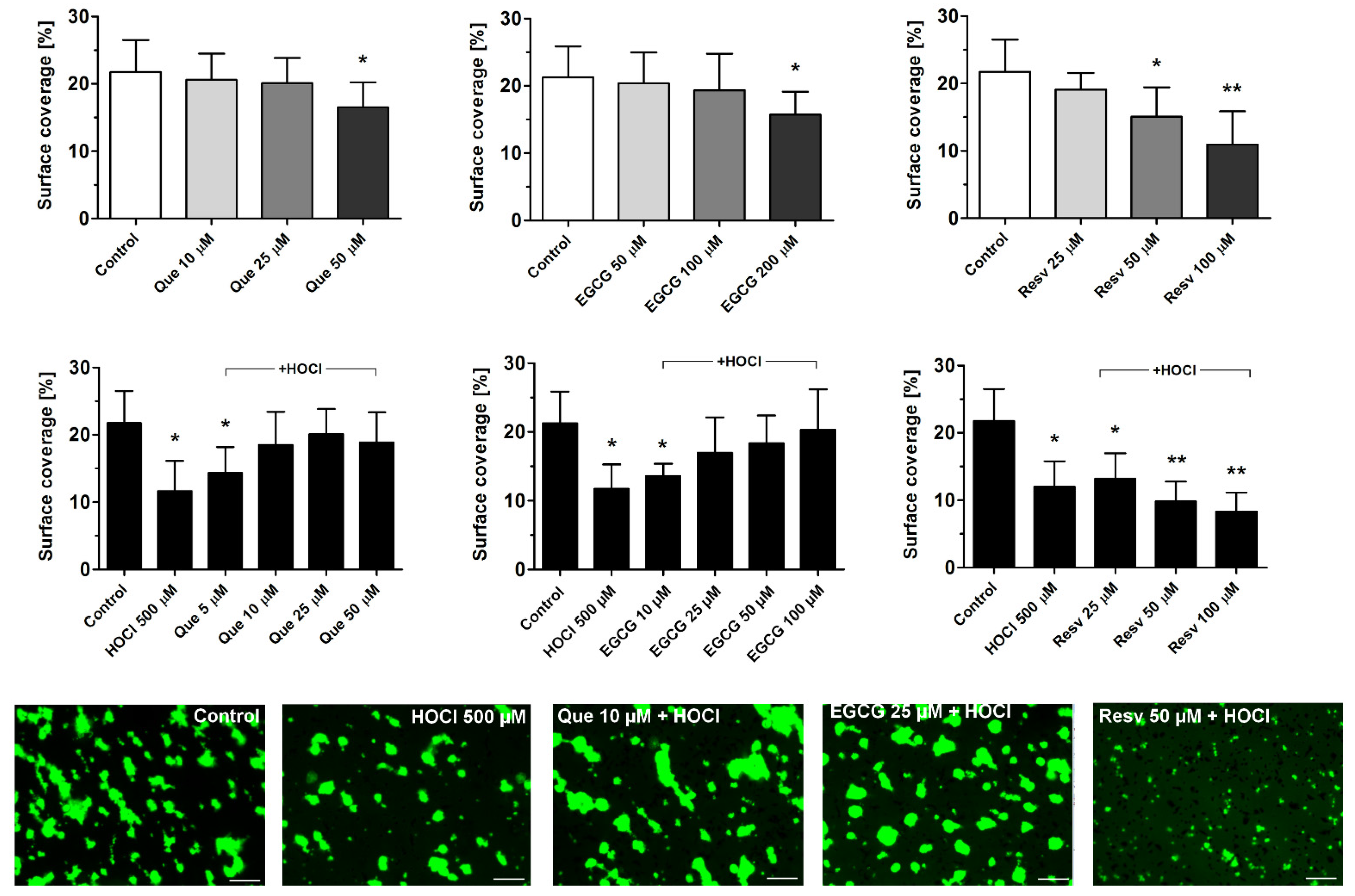 Antioxidants 11 00779 g002 550