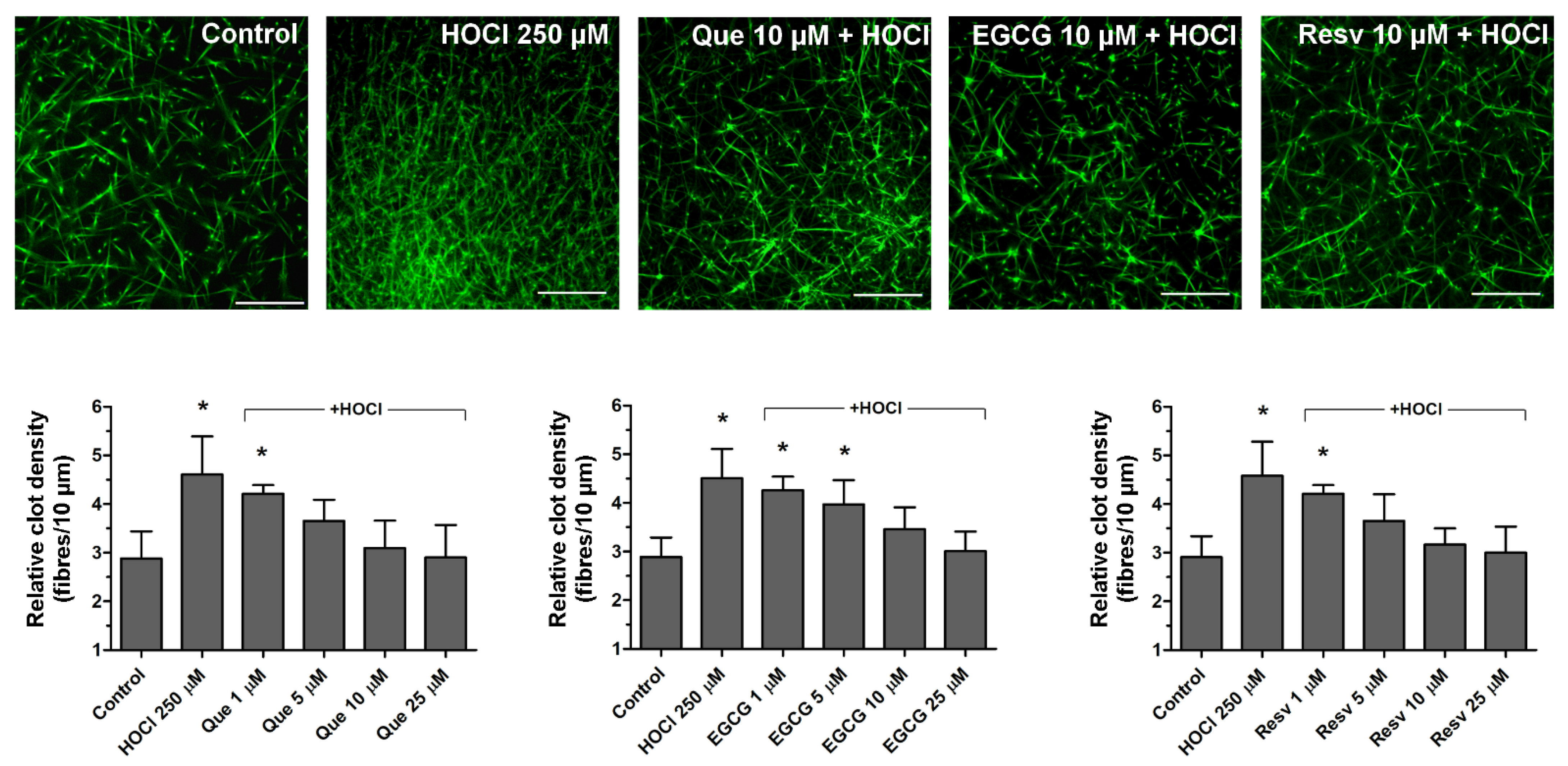 Antioxidants 11 00779 g003 550