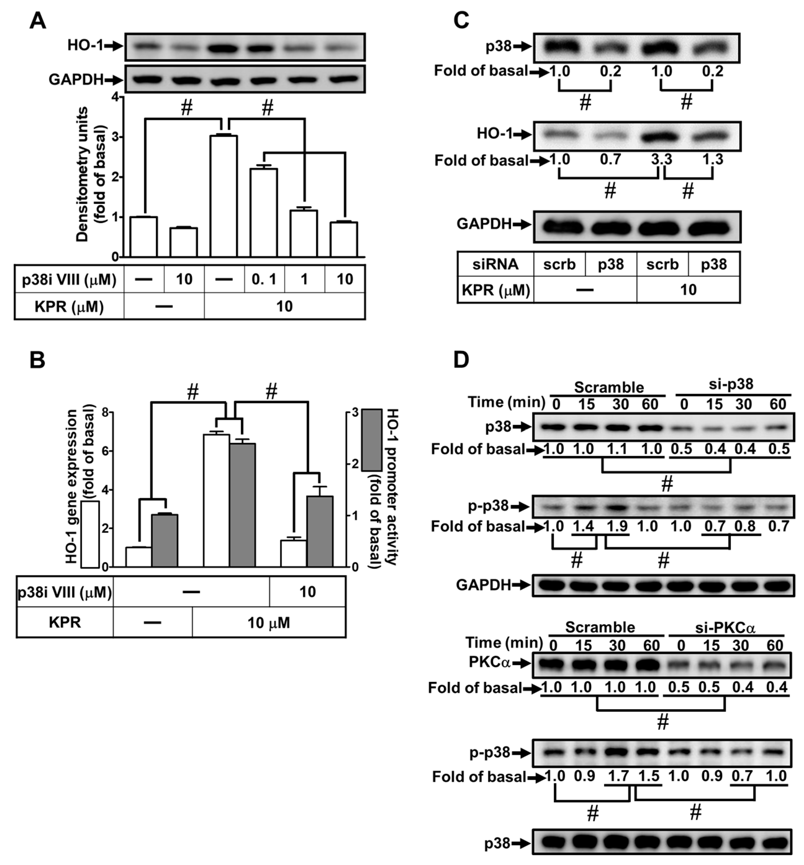 Antioxidants 11 00782 g008