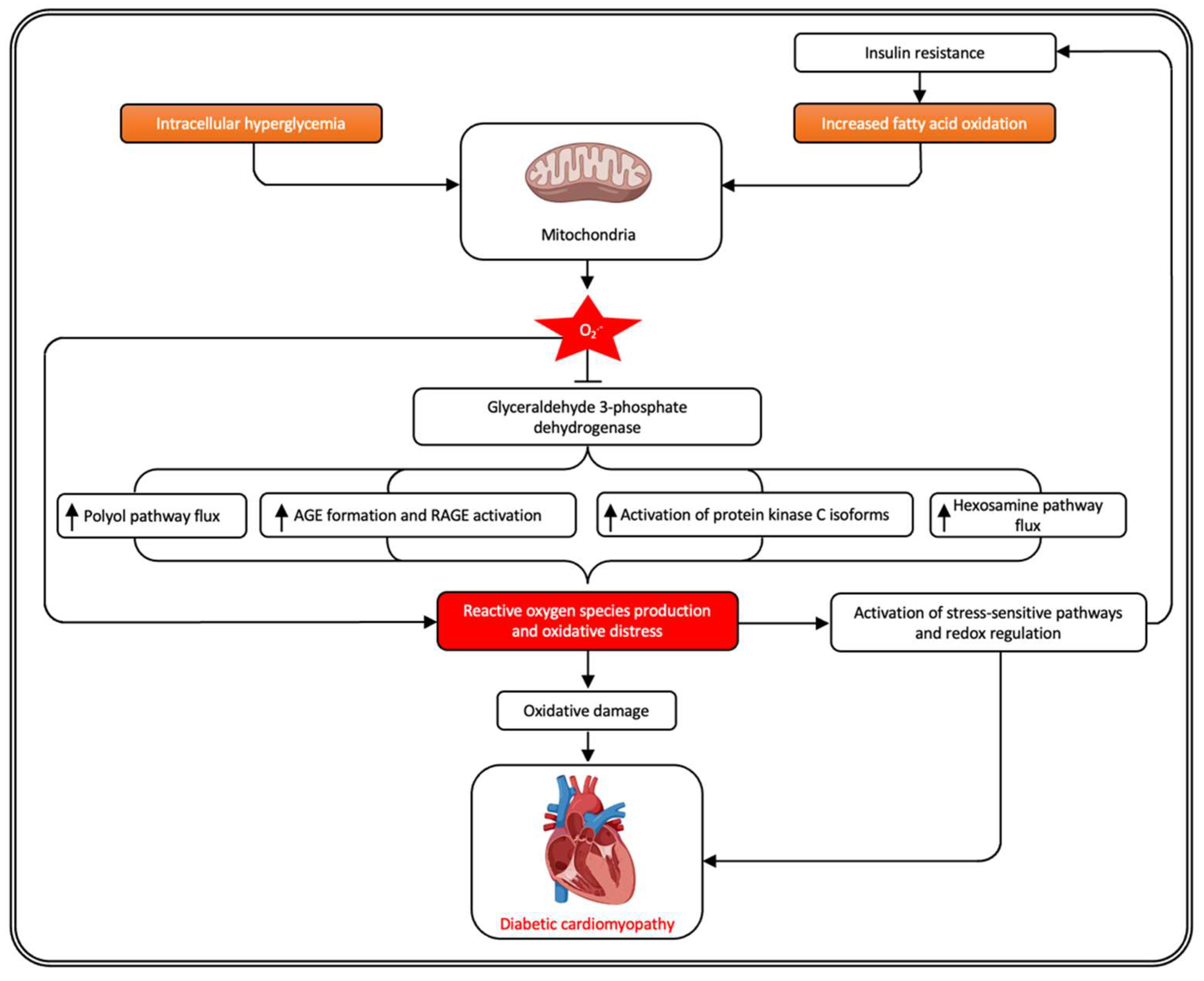 Antioxidants 11 00784 g001