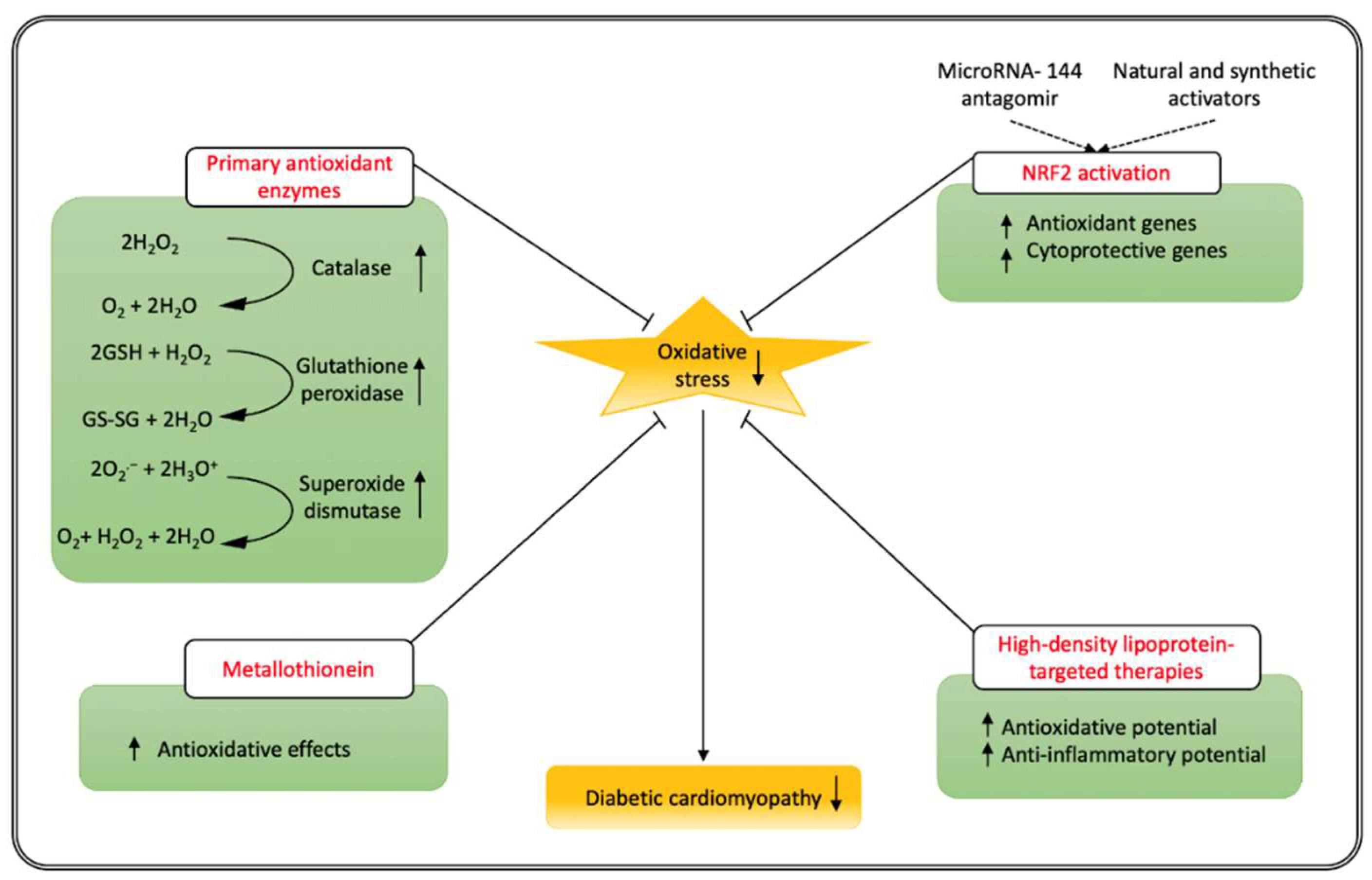Antioxidants 11 00784 g002