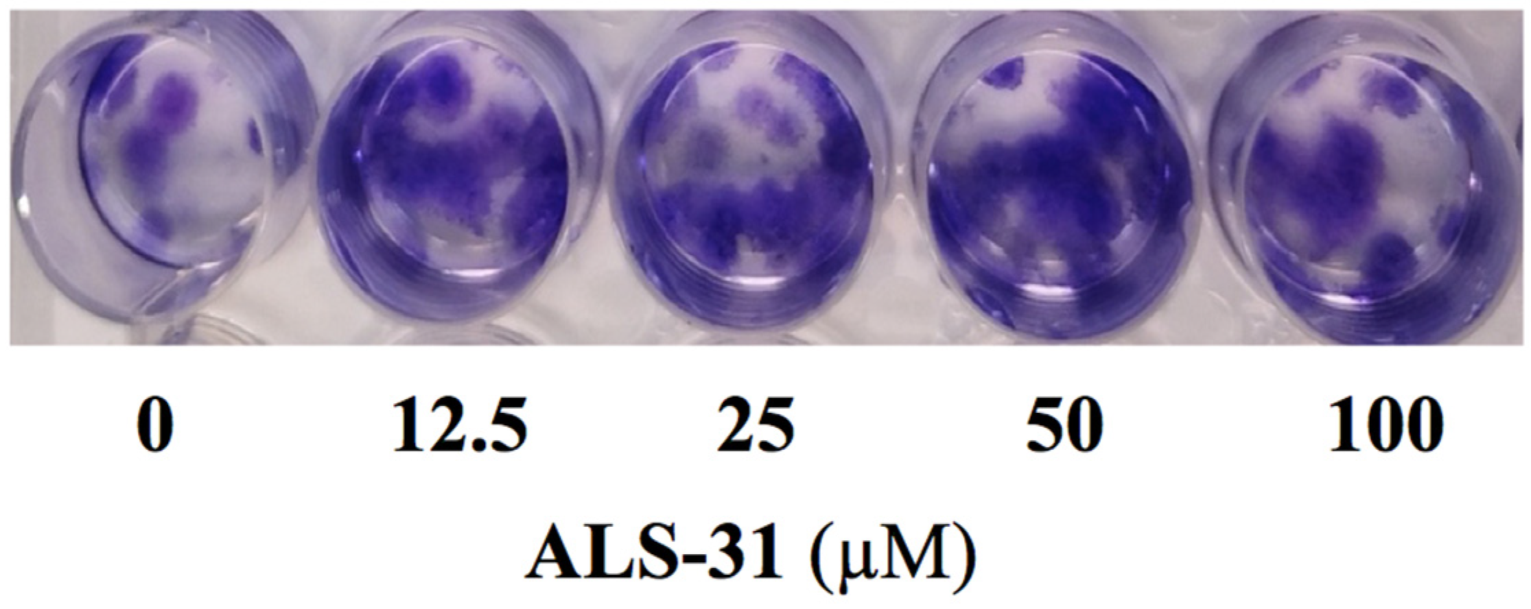 Antioxidants 11 00785 g006 Antioxidants 11 00785 g006