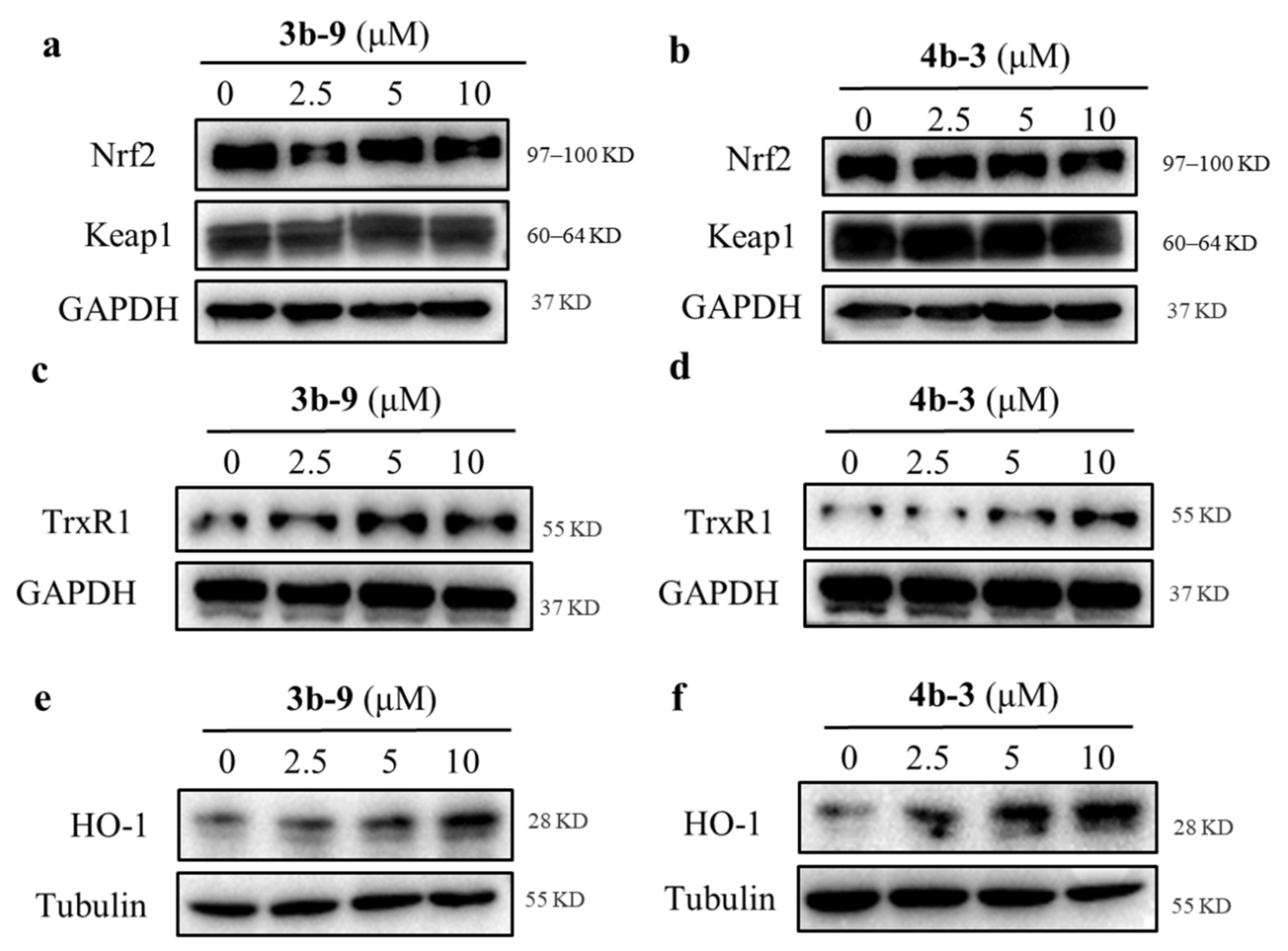 Antioxidants 11 00786 g005 550