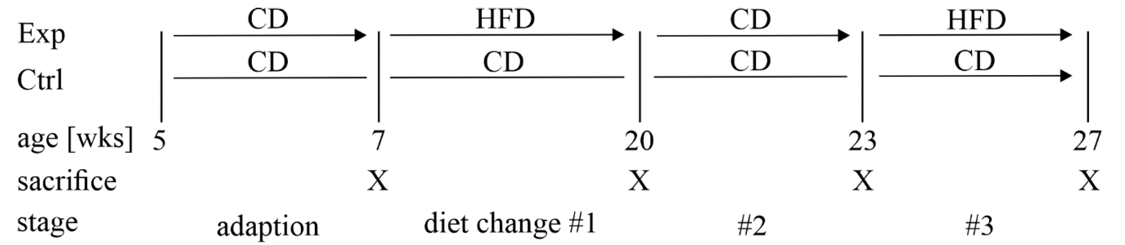 Antioxidants 11 00788 g001 Antioxidants 11 00788 g001
