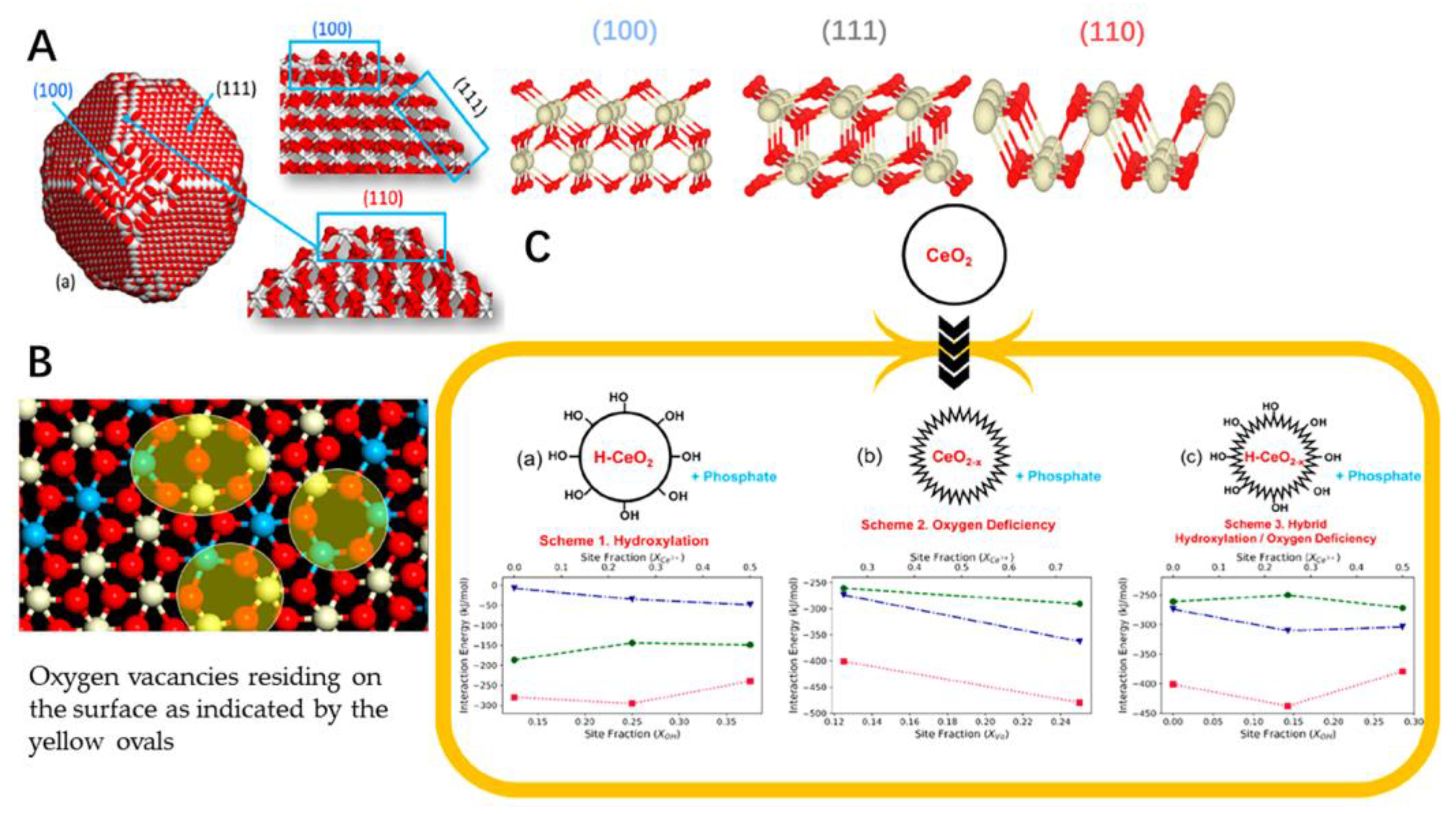 Antioxidants 11 00791 g002 Antioxidants 11 00791 g002